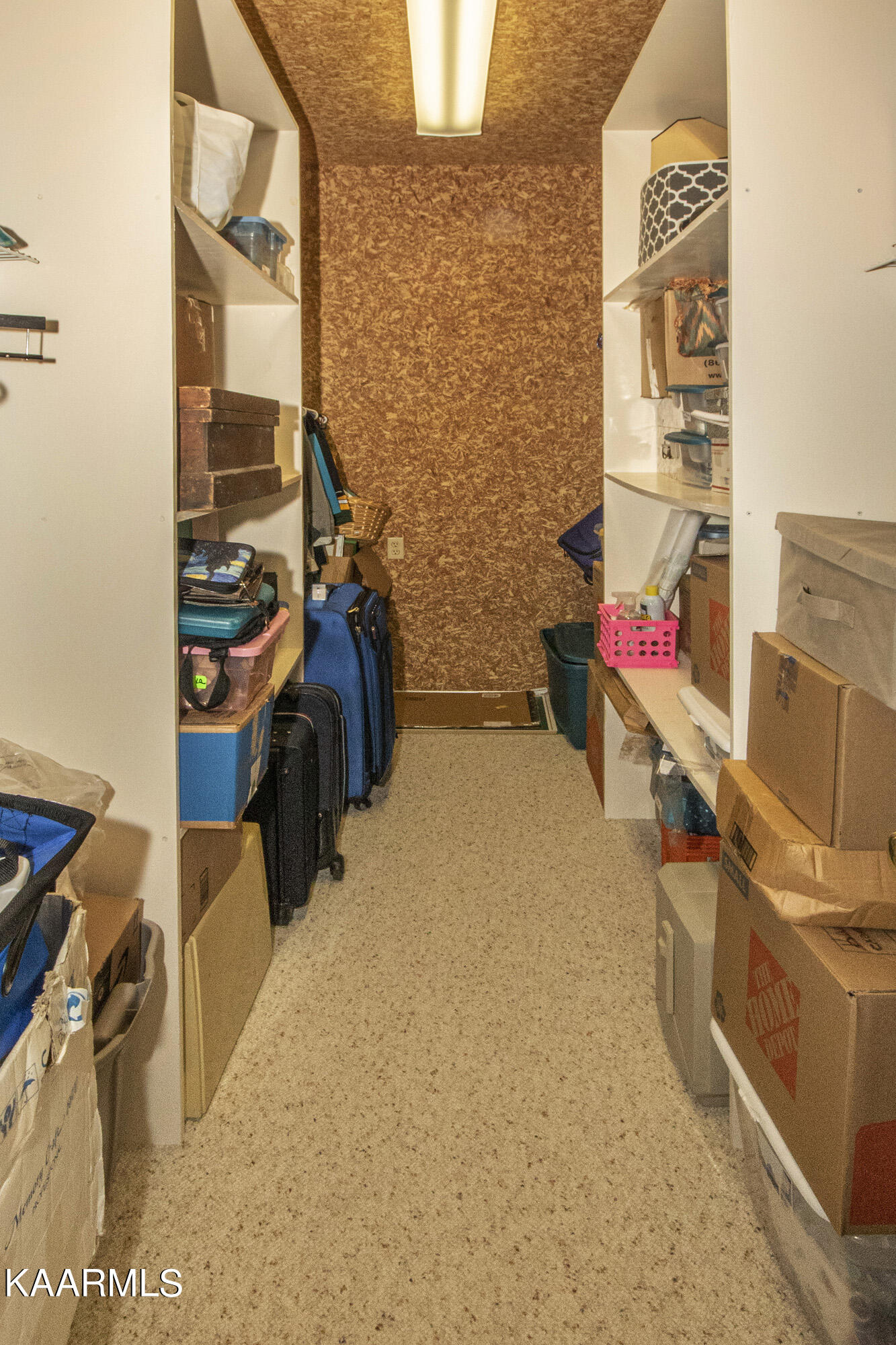156 Inagehi Way Loudon, TN 37774 - Photo 32 of 39 Walk-in Cedar Closet with Shelves