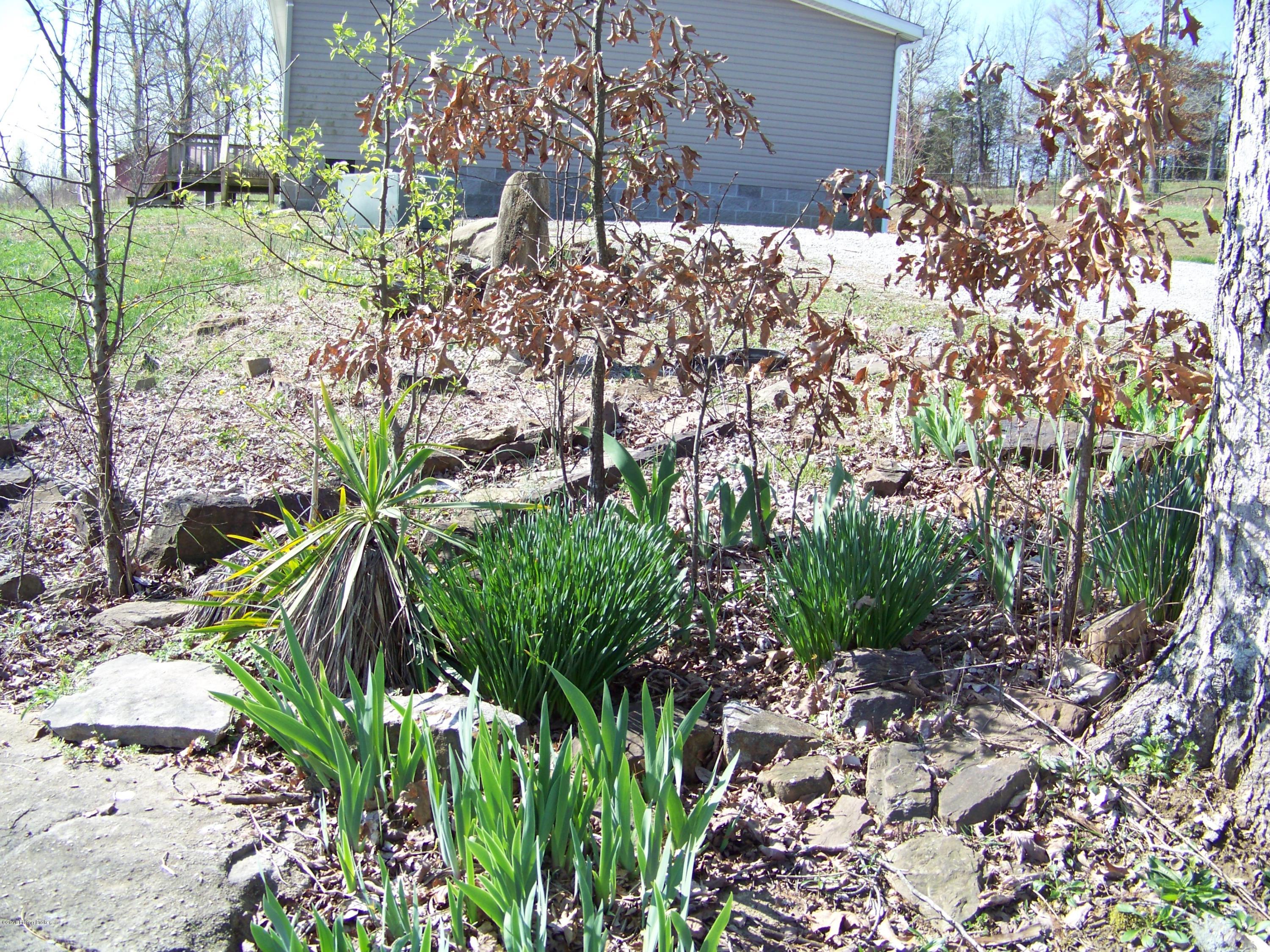 5491 Elizabethtown Road Clarkson, KY 42726 - Photo 30 of 32 058