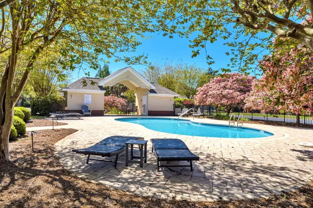 a view of a garden with plants