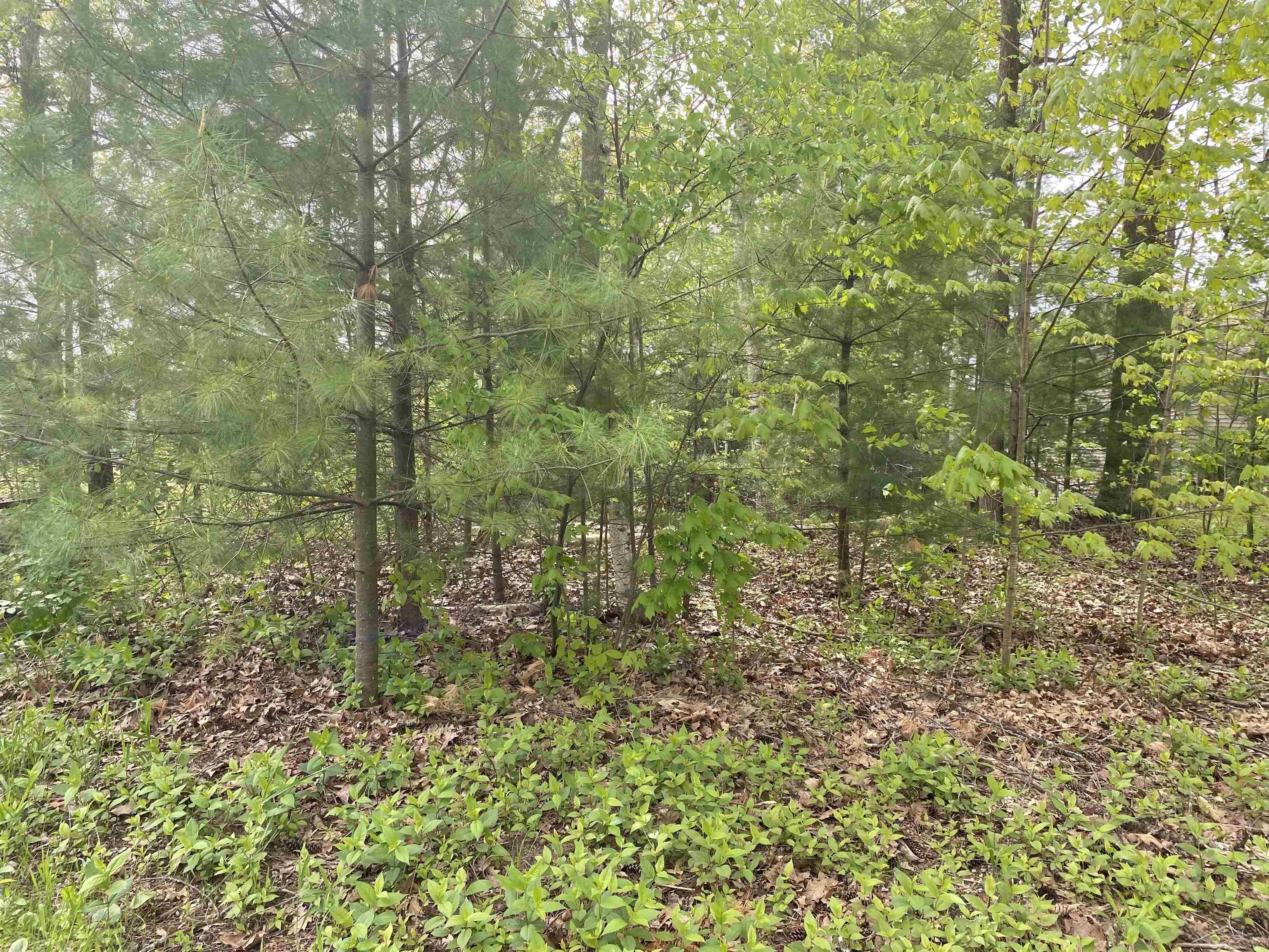 Vl Oakridge Road Beaverton, MI 48612 - Photo 1 of 7