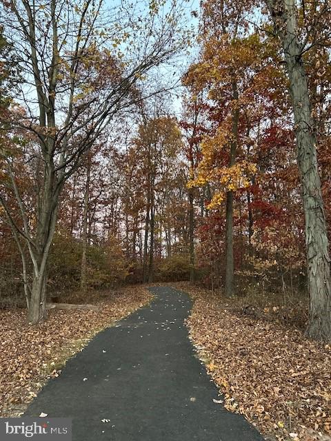 501 Buchanan Road Perkasie, PA 18944 - Photo 52 of 56 a view of a tree with a yard