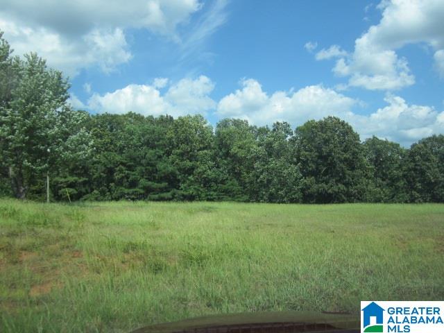 South Shades Crest Road, Unit 1 Birmingham, AL 35214 - Photo 2 of 7