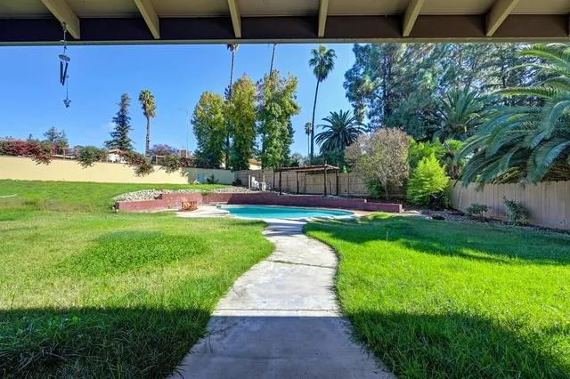 a view of a yard with a fountain and plants