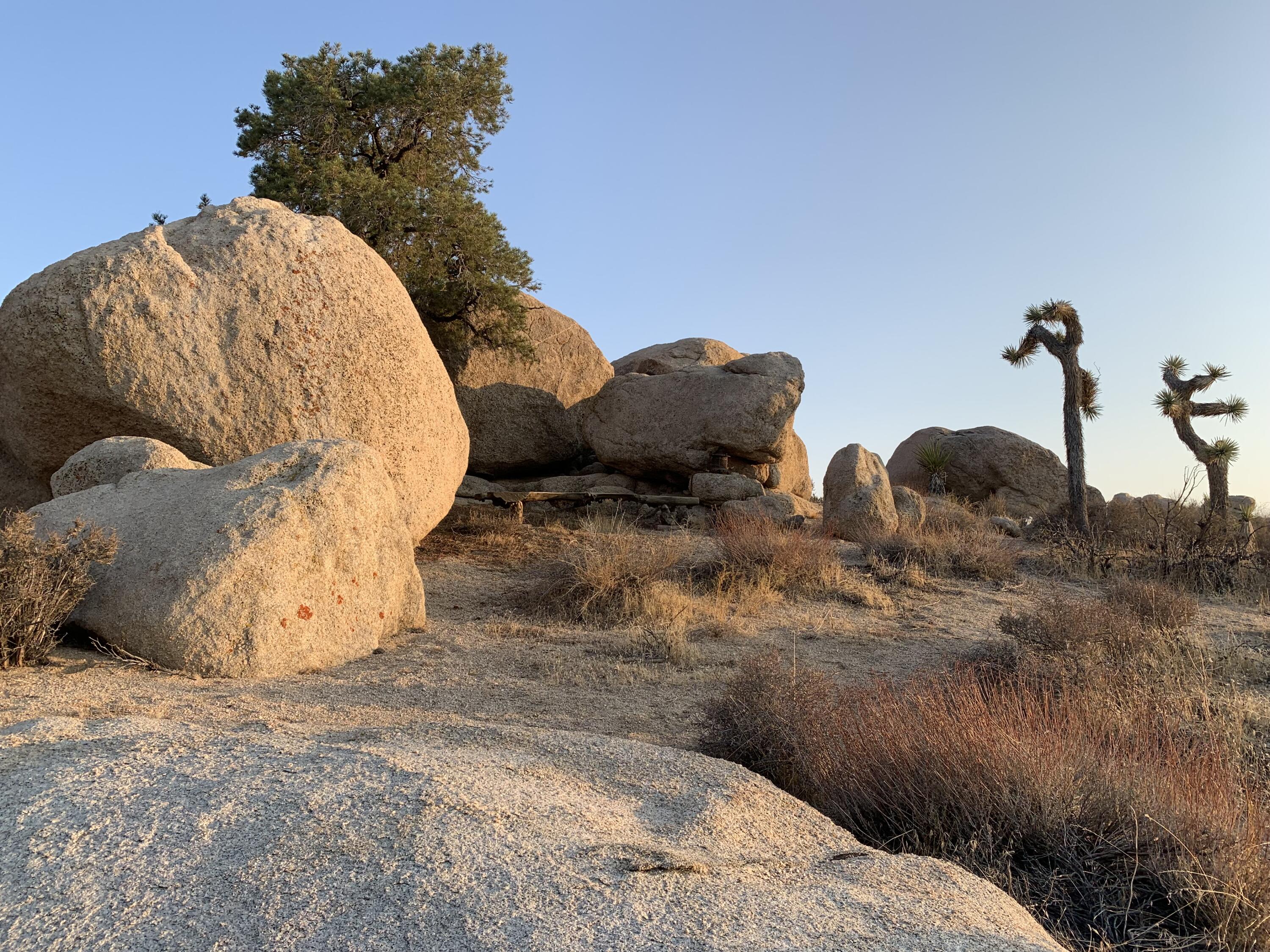 751 Atomic Ranch Road Landers, CA 92285 - Photo 22 of 47 IMG_3249
