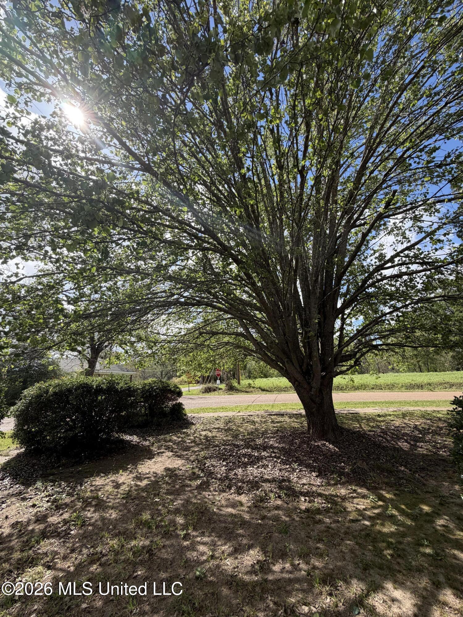 1089 Wells Street Wesson, MS 39191 - Photo 33 of 34 IMG_0085