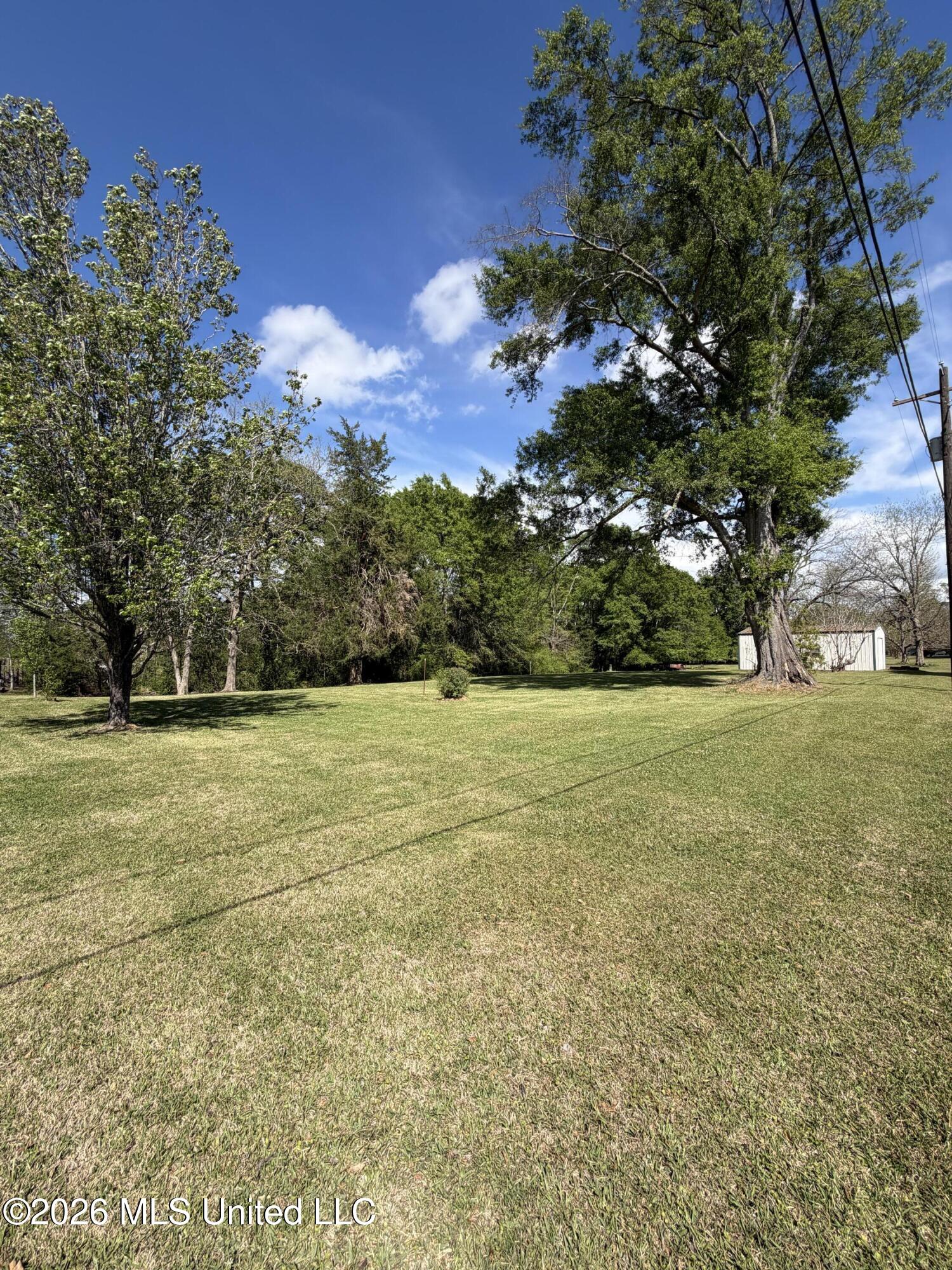 1089 Wells Street Wesson, MS 39191 - Photo 6 of 34 IMG_0023