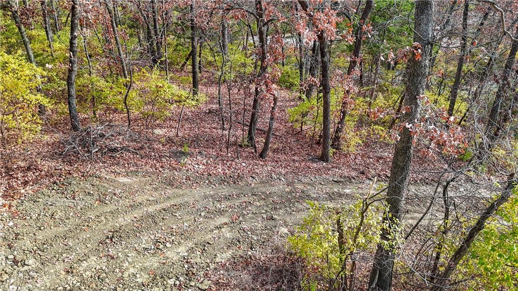 19430 West 87th Lane Lenexa, KS 66220 - Photo 13 of 18