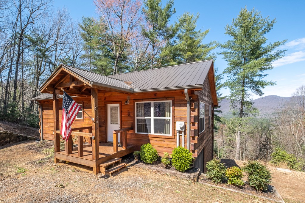 650 Top Horseshoe Ridge Murphy, NC 28906 - Photo 9 of 68 Gallery Image 9