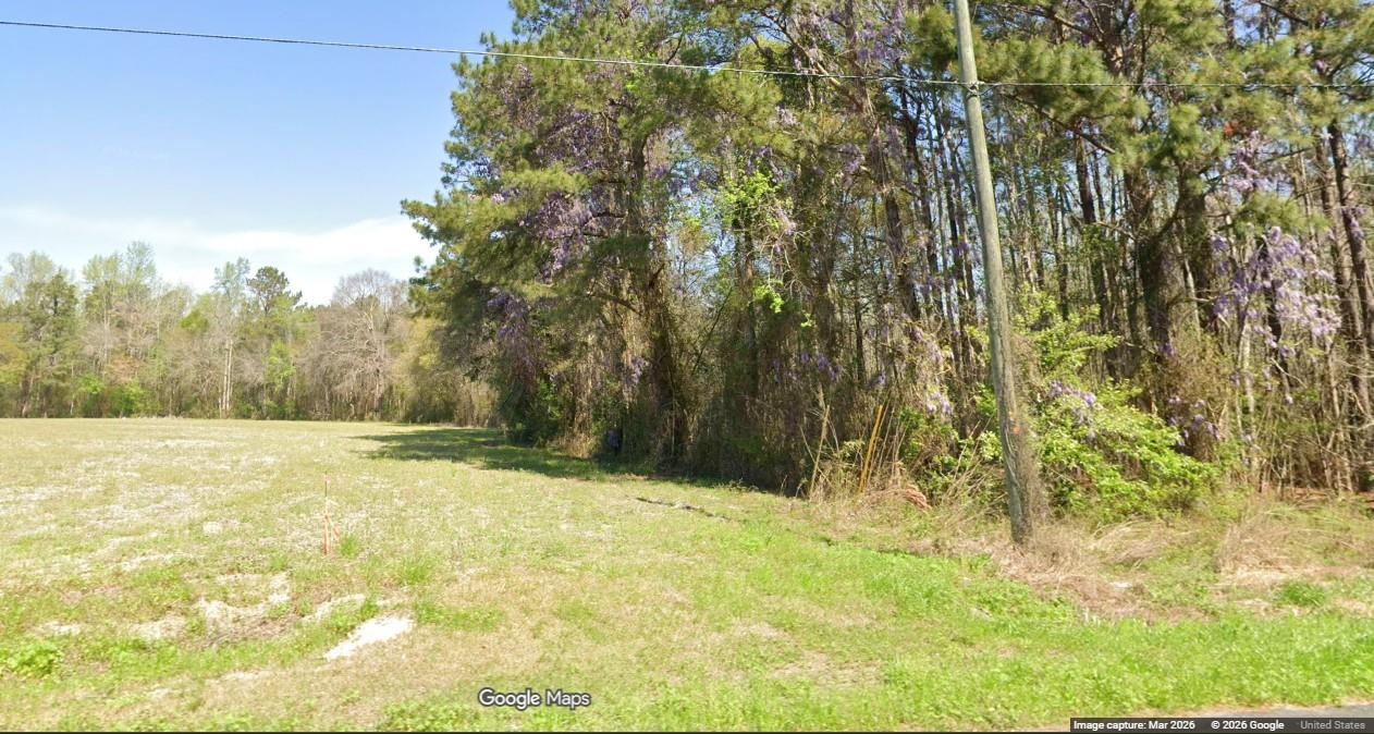 Tbd Long Branch Swamp Road Nichols, SC 29581 - Photo 7 of 9 Gallery Image 7