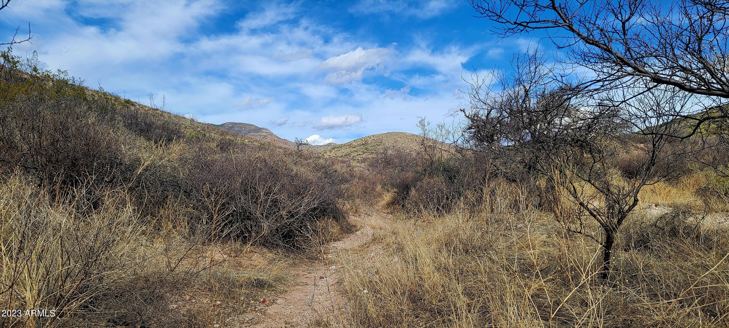 Lot 9 West Red Mountain Road, Unit 9 Bisbee, AZ 85603 - Photo 4 of 6