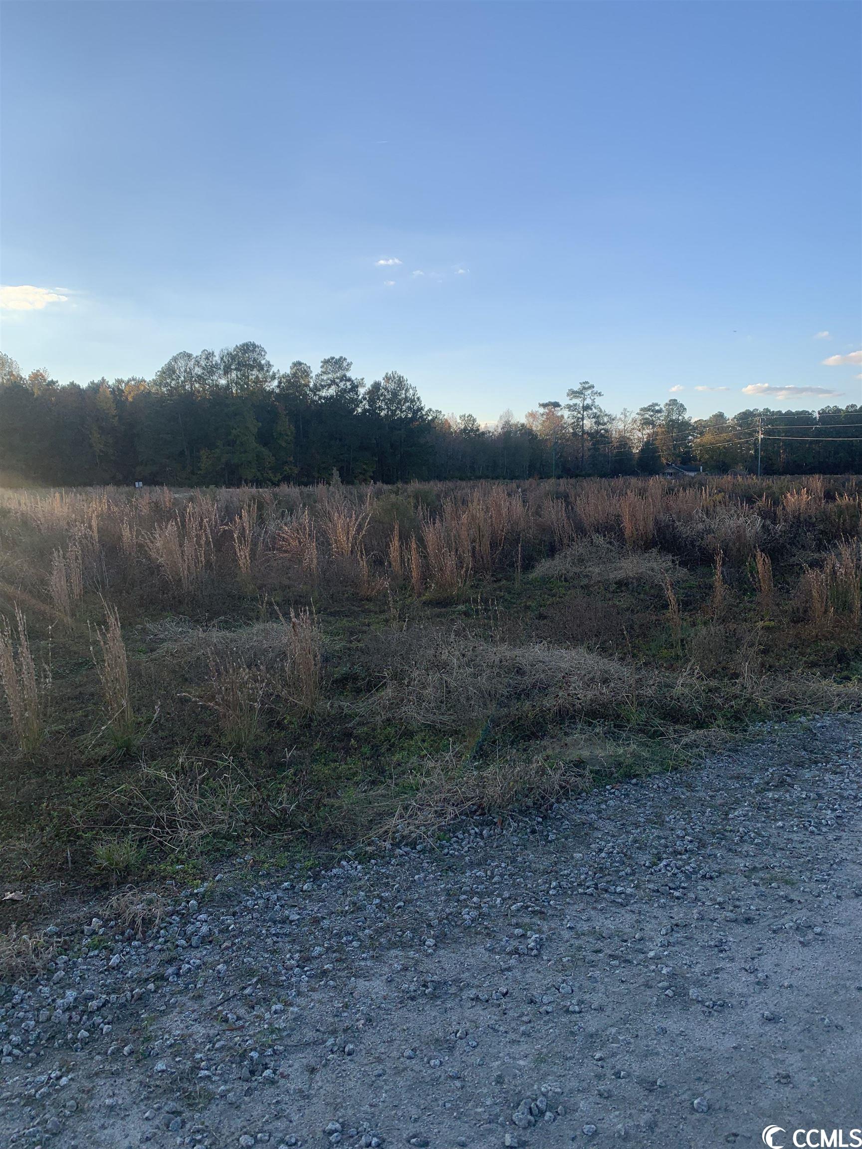 0 Saddletown Road Pamplico, SC 29583 - Photo 1 of 1 Gallery Image 1
