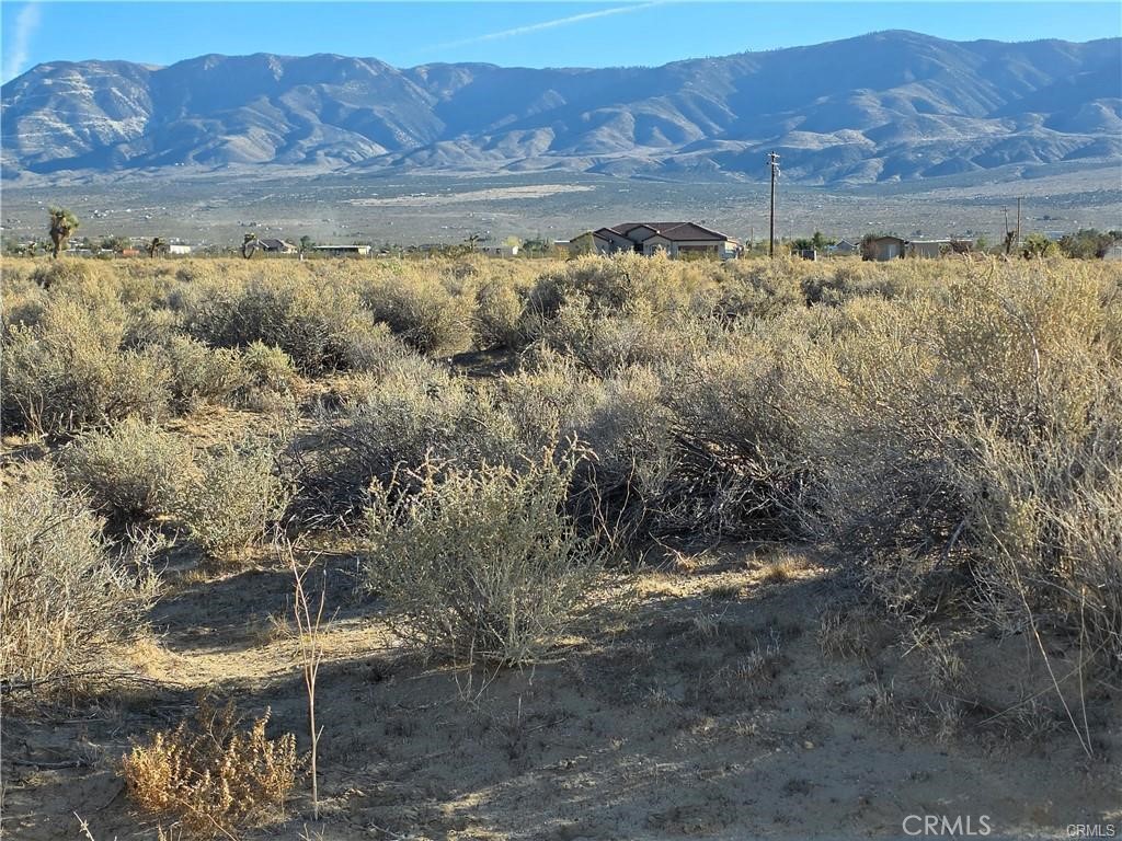 800 Desert View Road Lucerne Valley, CA 92356 - Photo 4 of 4 a view of outdoor space and mountain view
