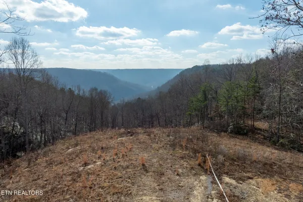 $132,000 | 722 Flat Top Vw Lane, Wilder, TN 38589