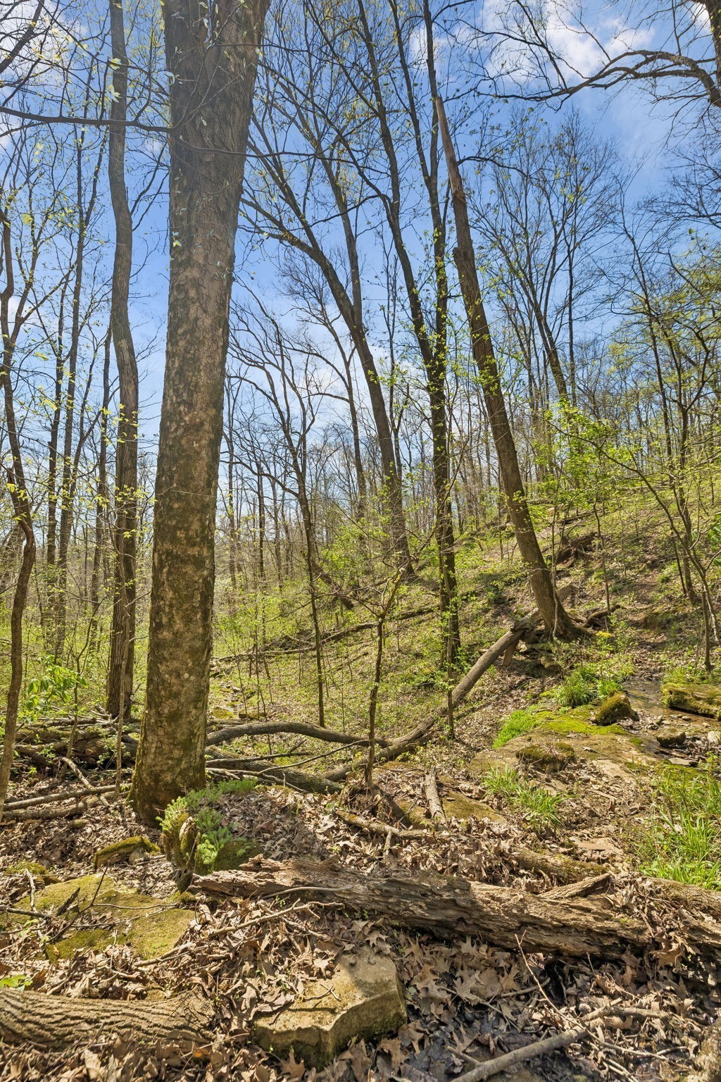 0 Turney Road Auburntown, TN 37016 - Photo 27 of 46 Gallery Image 27