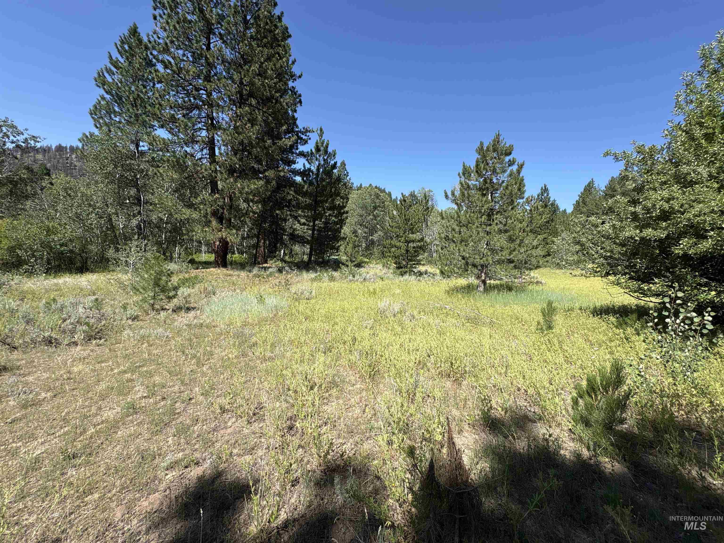 Tbd Smith Creek Road Mountain Home, ID 83647 - Photo 3 of 19