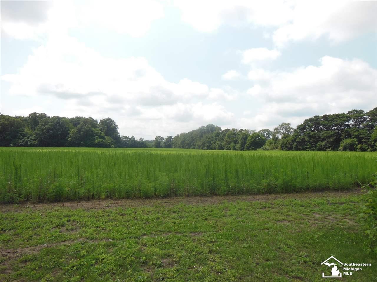 Parcel 3 Wells Road Petersburg, MI 49270 - Photo 6 of 6