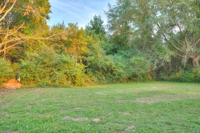 a view of field with trees in background