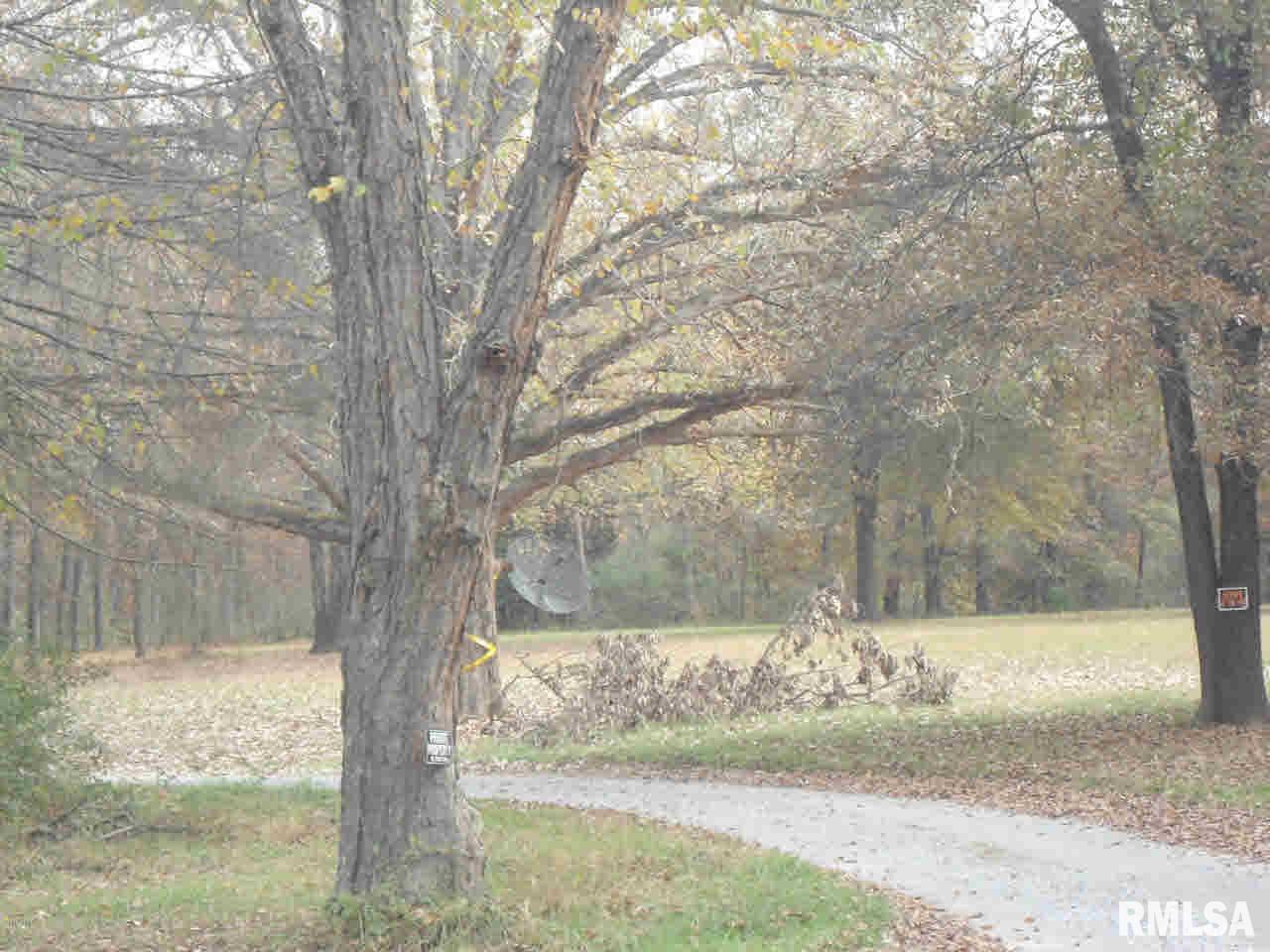 13392 Frontage Road Mount Vernon, IL 62864 - Photo 5 of 7 Gallery Image 5