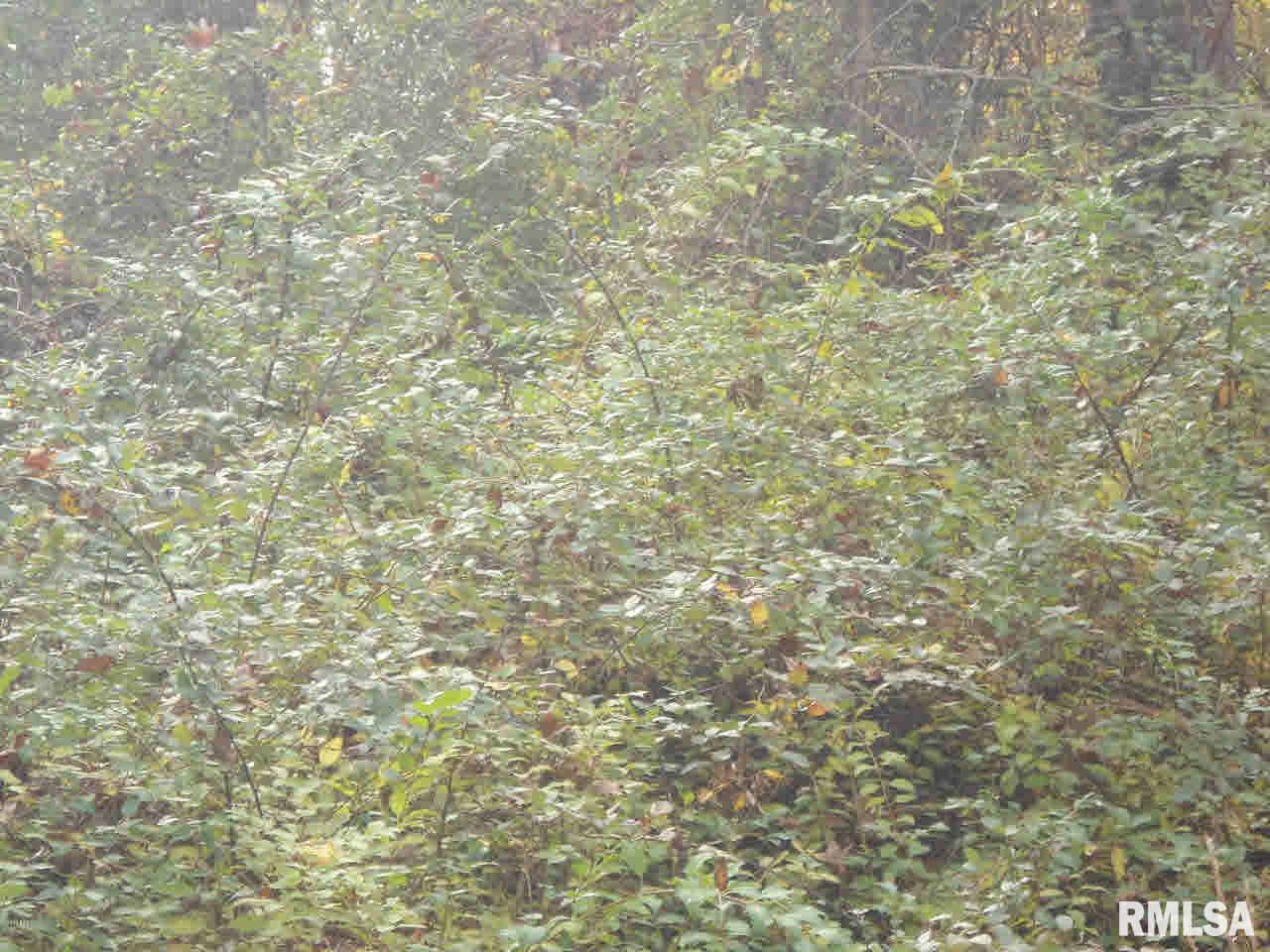 13392 Frontage Road Mount Vernon, IL 62864 - Photo 6 of 7 Gallery Image 6