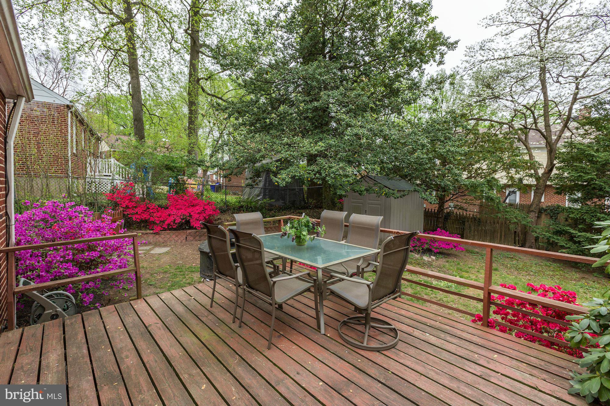 2904 Collins Avenue Silver Spring, MD 20902 - Photo 12 of 24 Exterior (Rear)