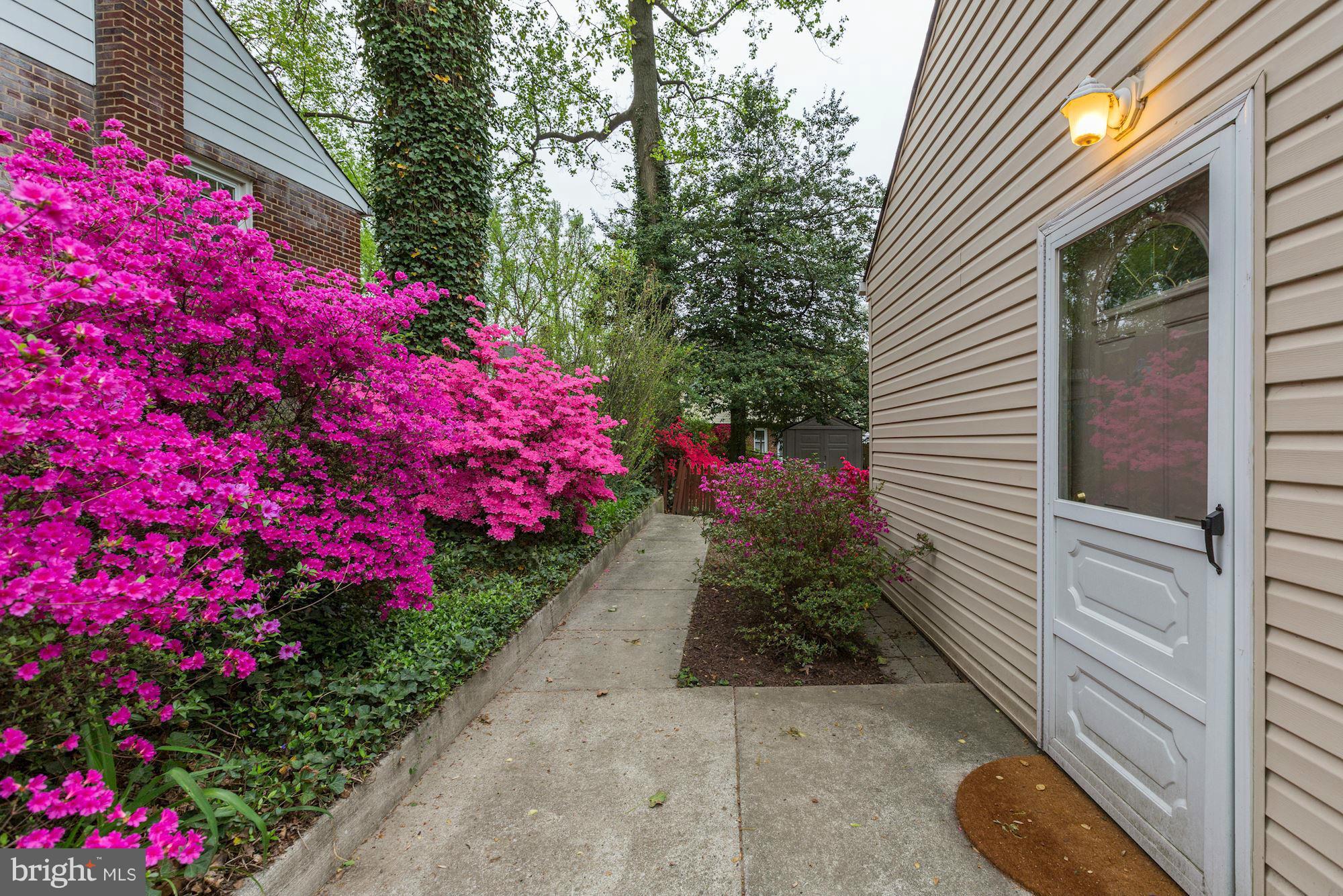 2904 Collins Avenue Silver Spring, MD 20902 - Photo 20 of 24 Exterior (General)