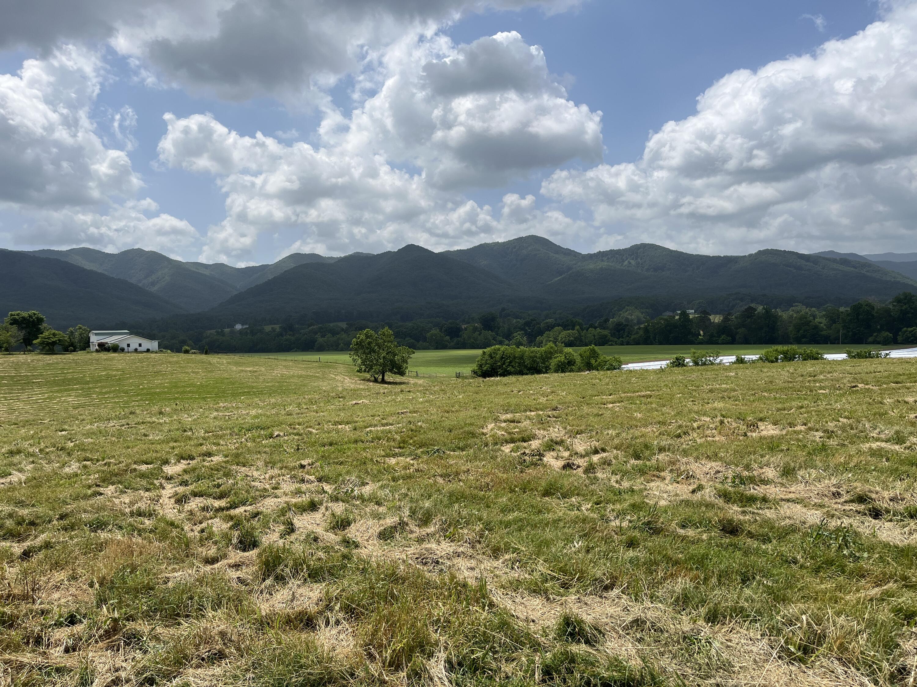 Tbd Ray Peterson Road, Unit 2 Limestone, TN 37681 - Photo 1 of 4 image