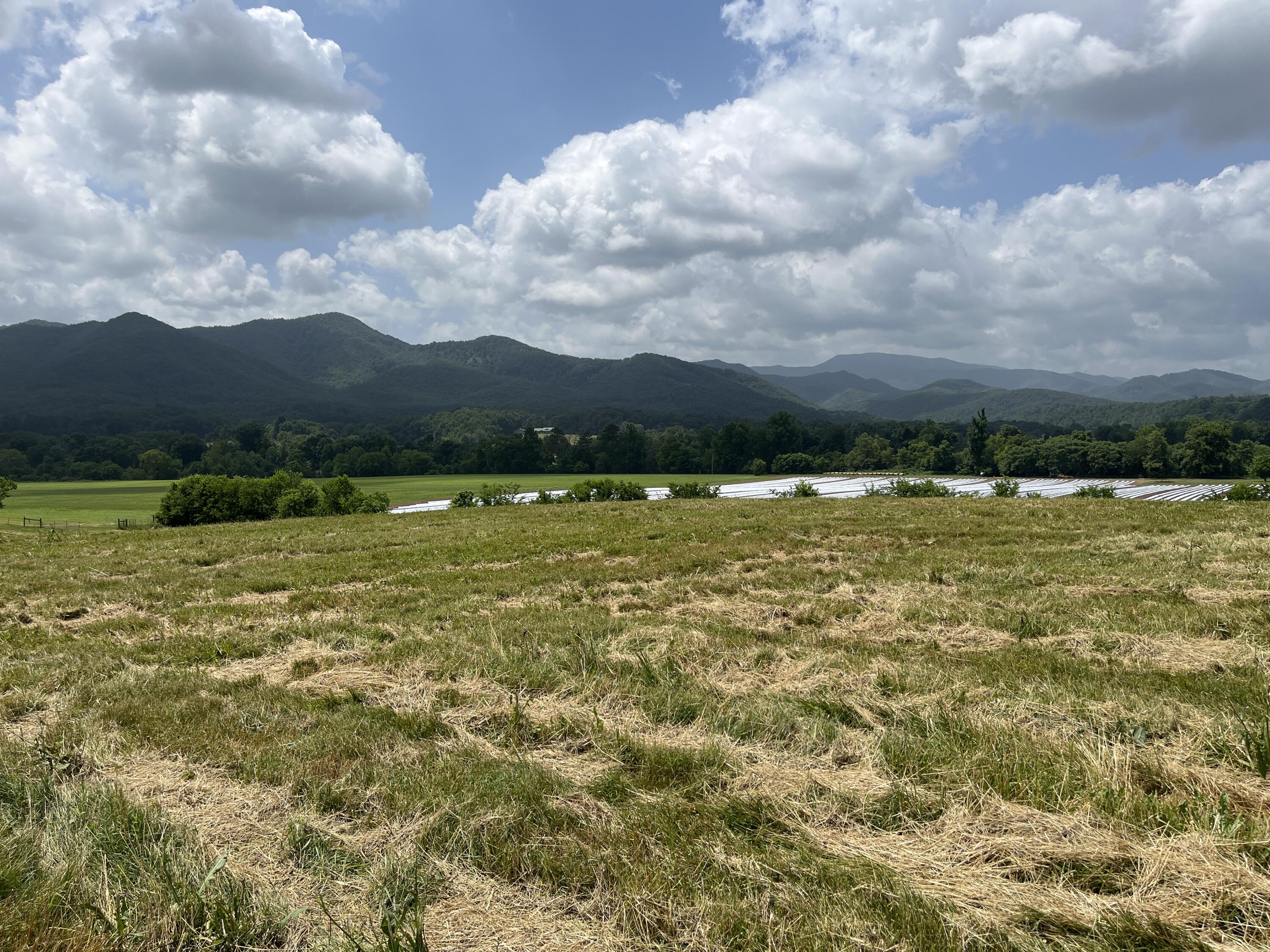 Tbd Ray Peterson Road, Unit 2 Limestone, TN 37681 - Photo 3 of 4 image