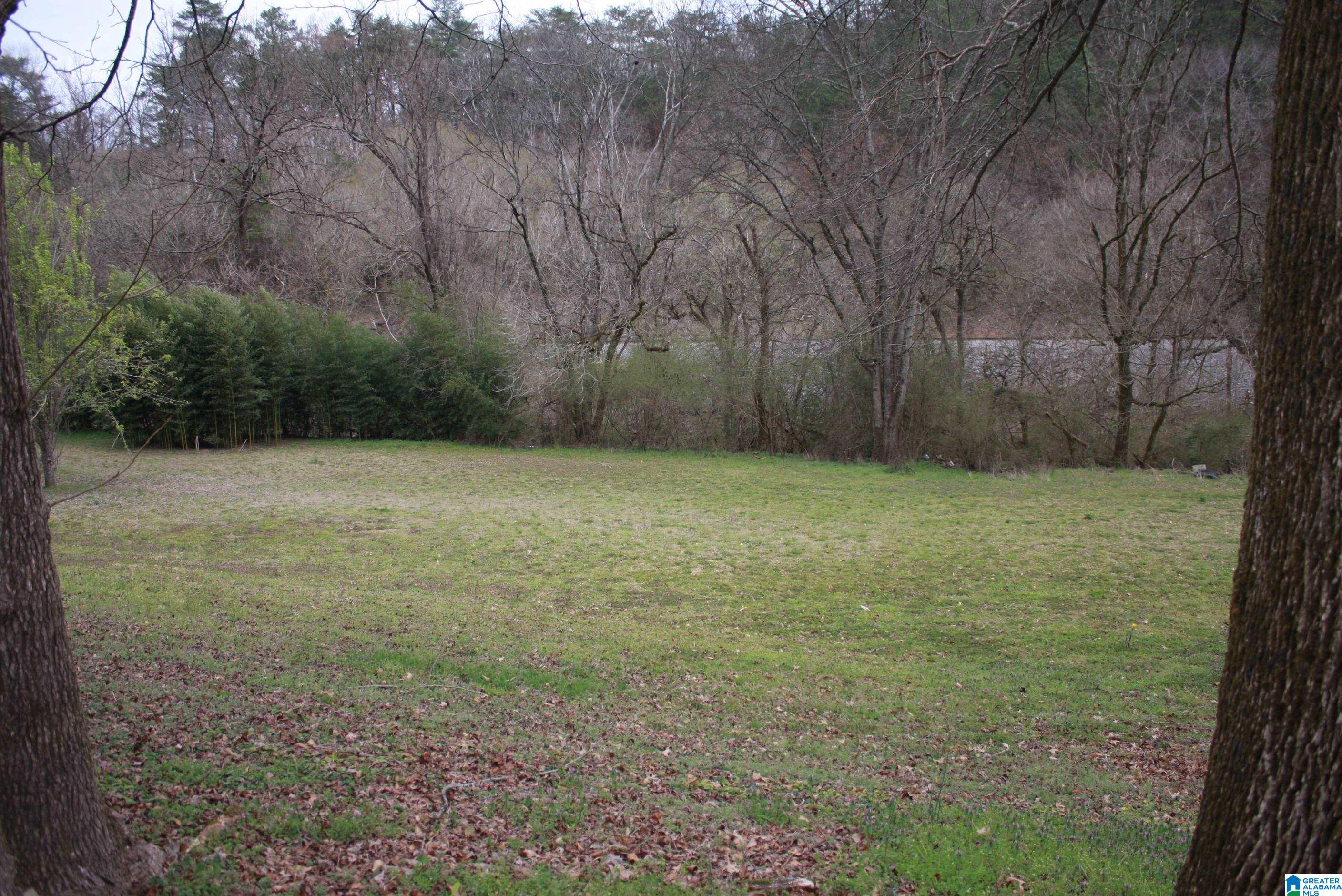 123 Bivens Brookside Road Graysville, AL 35073 - Photo 6 of 26