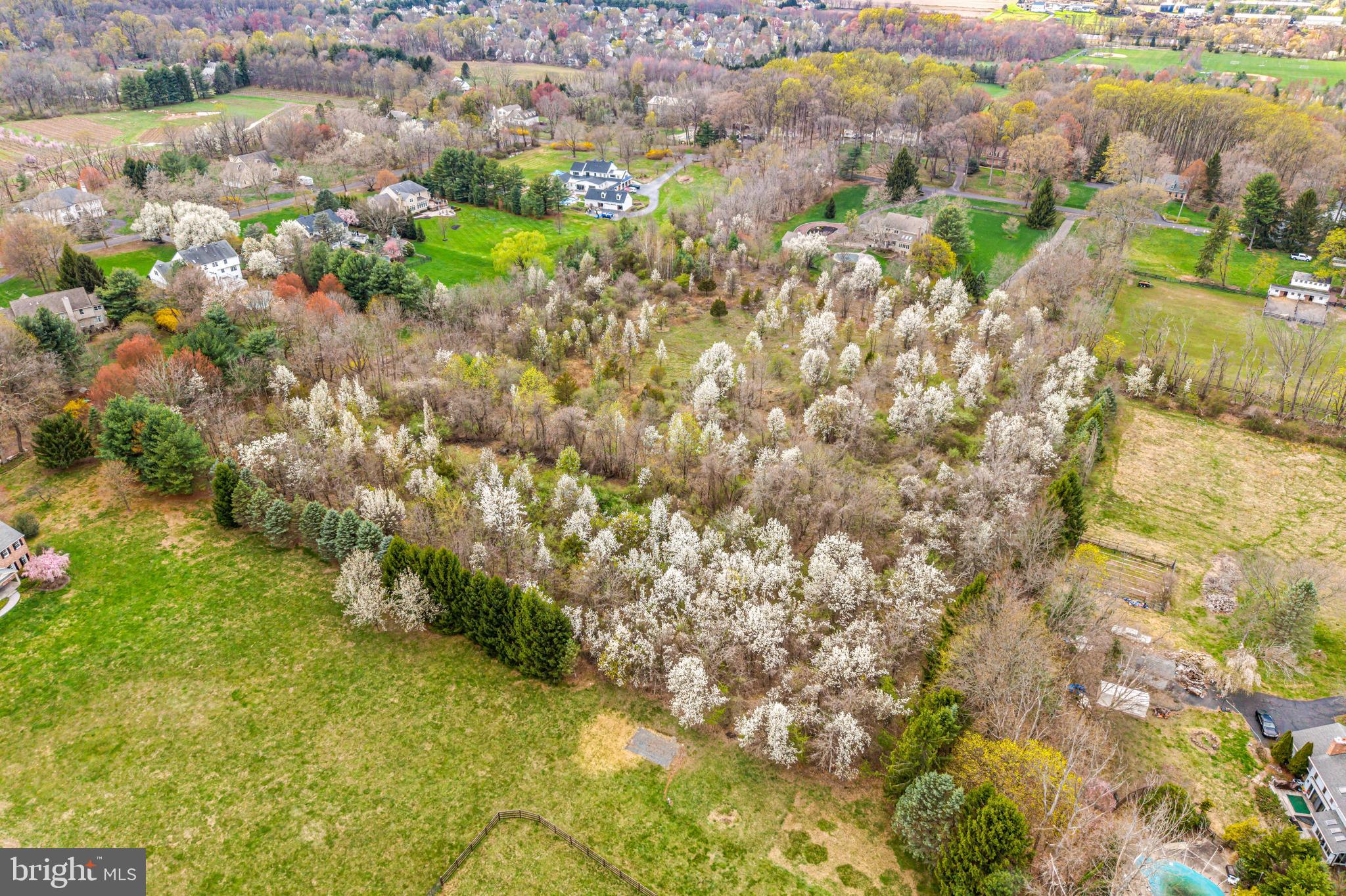 4441 Fell Road Doylestown, PA 18902 - Photo 5 of 7 a view of a city