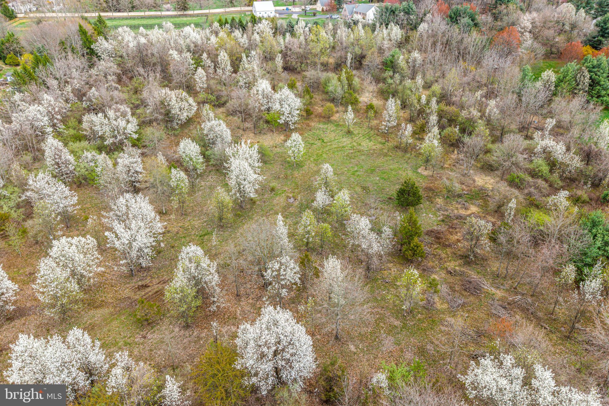 4441 Fell Road Doylestown, PA 18902 - Photo 6 of 7 a view of a yard