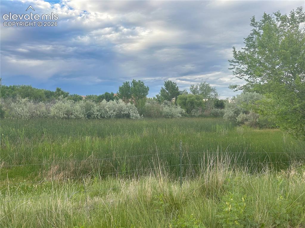 119 County Road Florence, CO 81226 - Photo 7 of 7