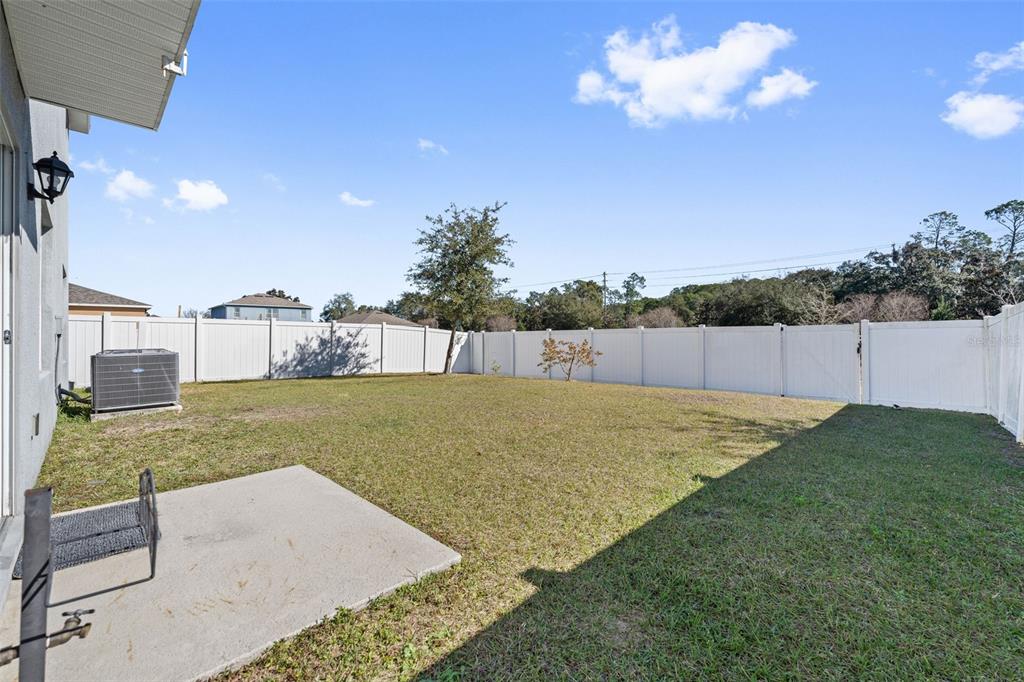 1526 White Hawk Way Groveland, FL 34736 - Photo 7 of 40 a view of a backyard