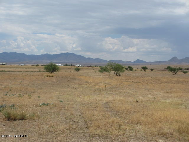 0 Curly Horse Ranch Road Sonoita, AZ 85637 - Photo 10 of 13