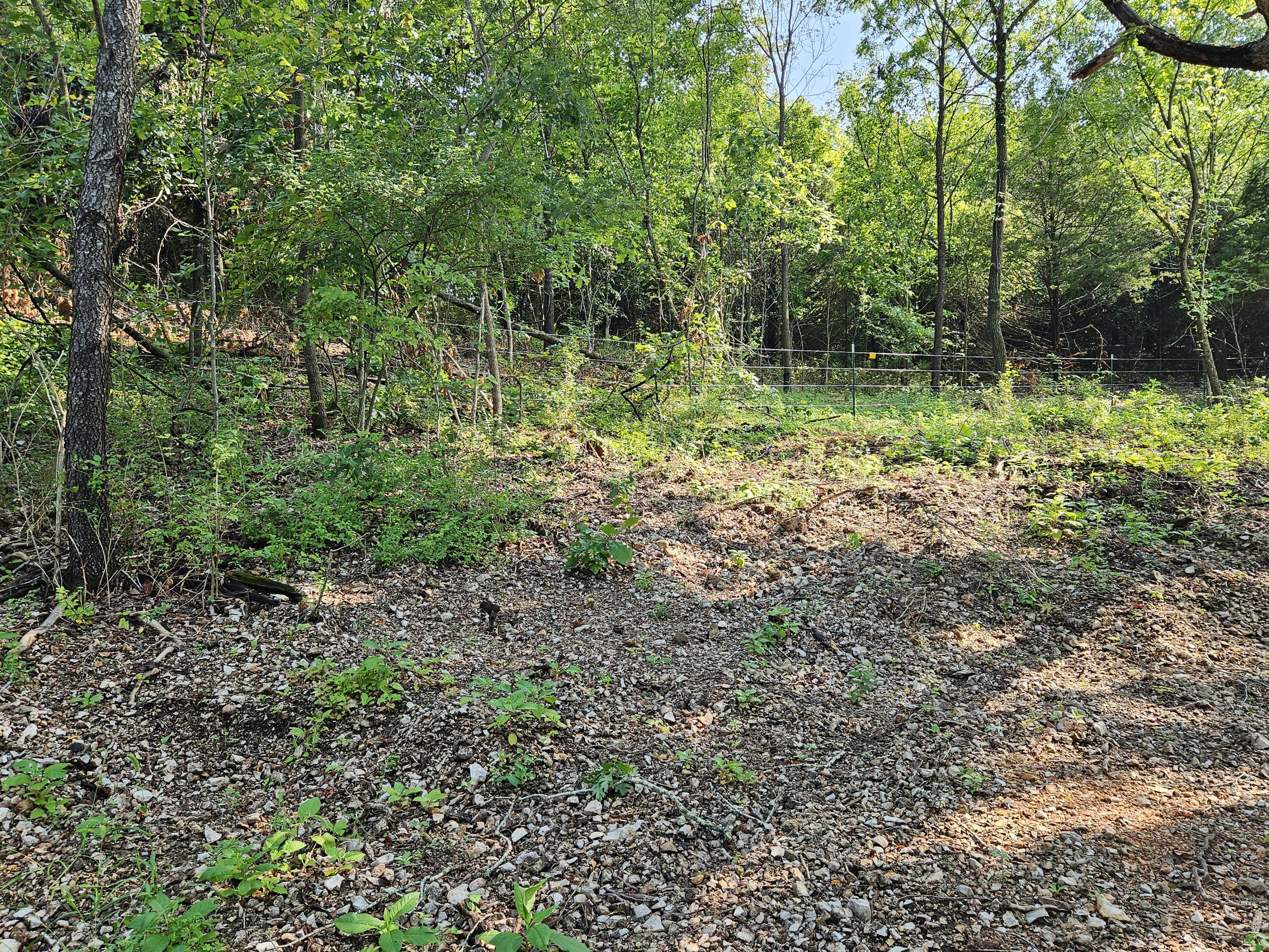 0 McLean Road Ozark, MO 65721 - Photo 11 of 14 1000034174