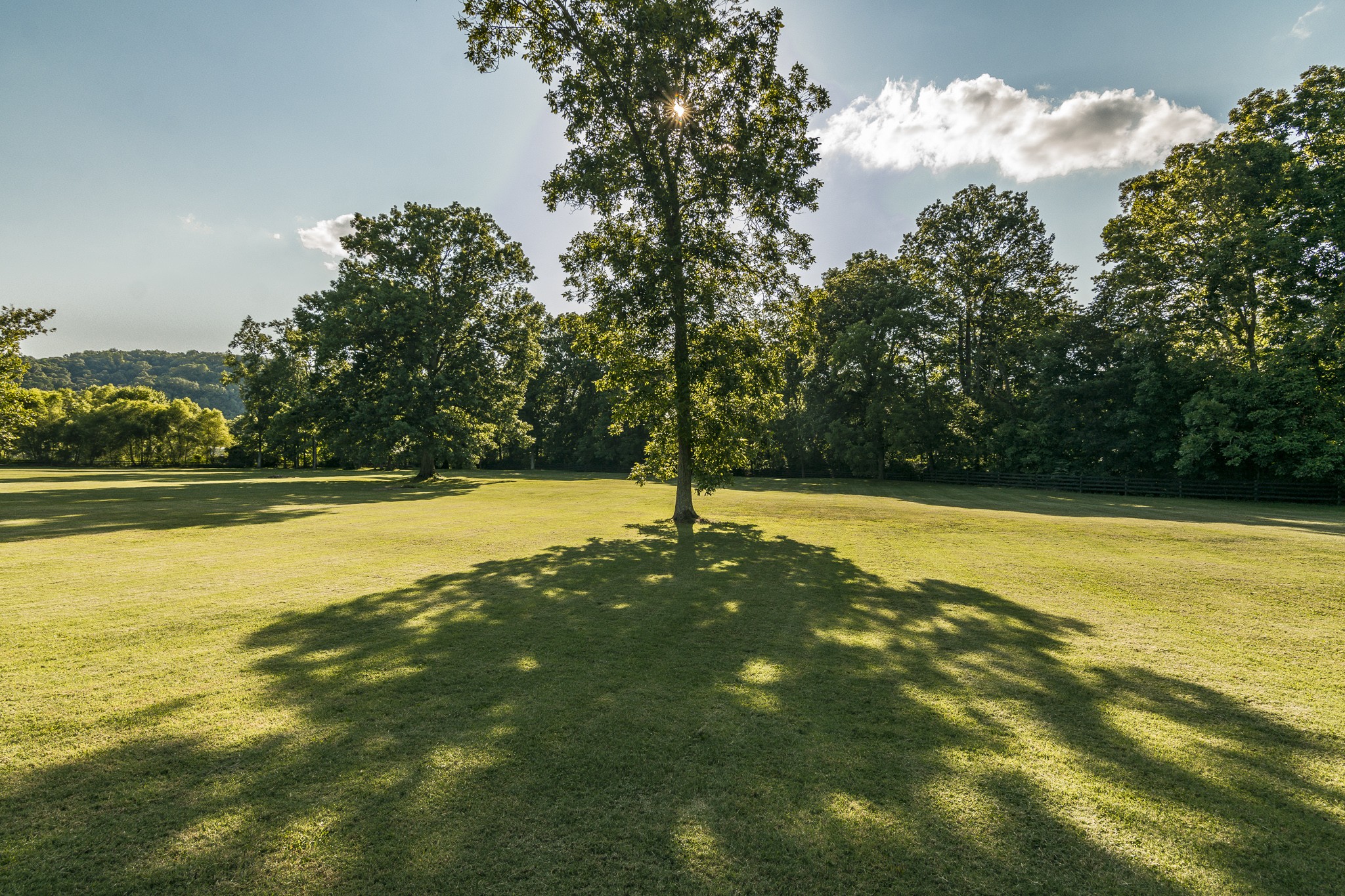 1102 Sandy Valley Road Hendersonville, TN 37075 - Photo 40 of 45 Gallery Image 40