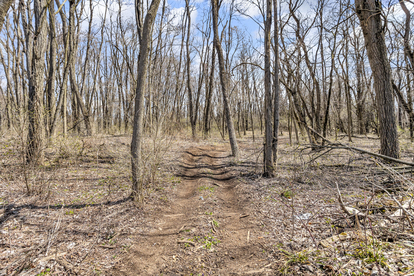 229 South Sutton Road Jackson, MI 49203 - Photo 35 of 35 0N0A0002