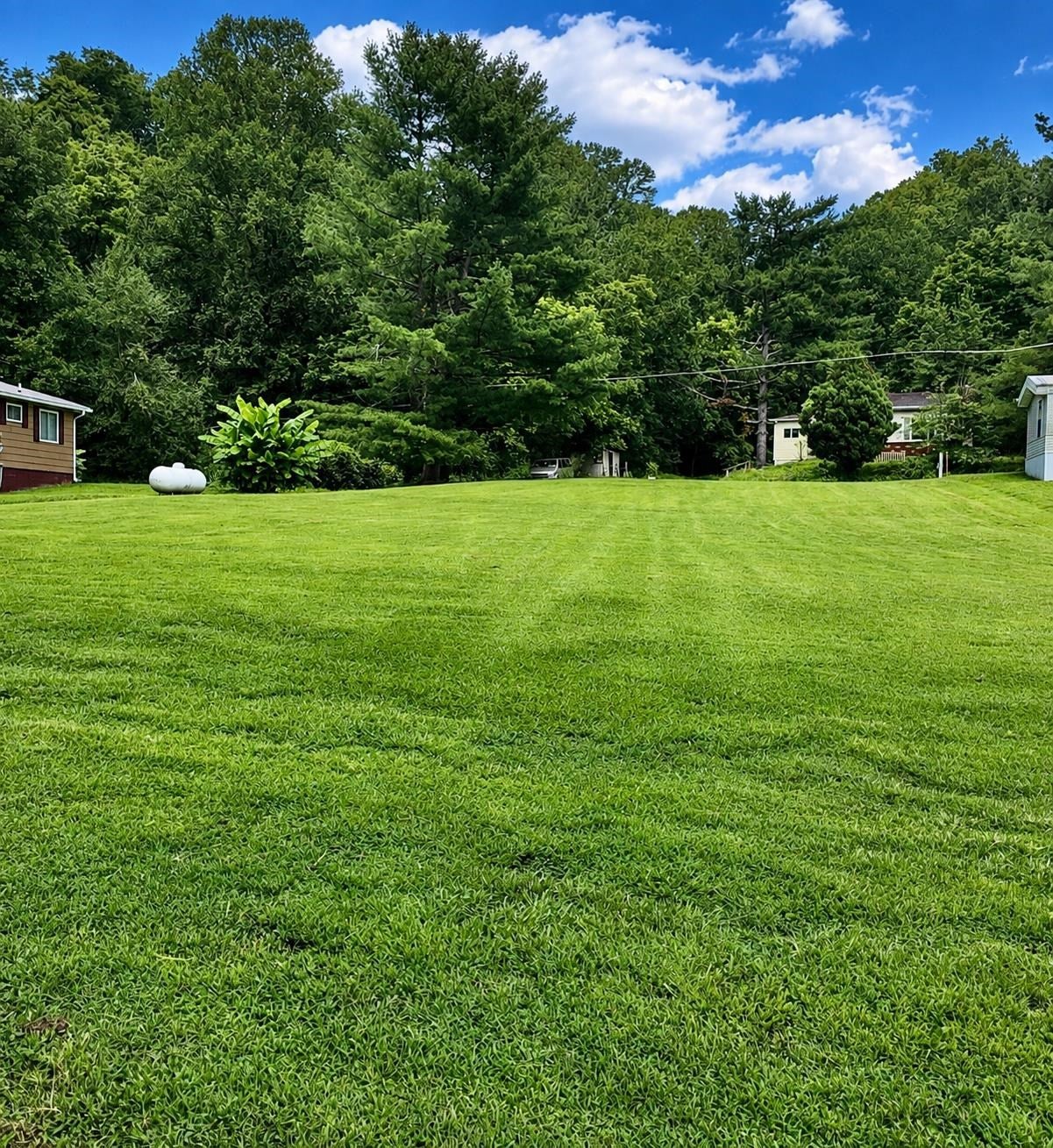 63 Mason 80 Road Ashton, WV 25503 - Photo 14 of 16 Gallery Image 14
