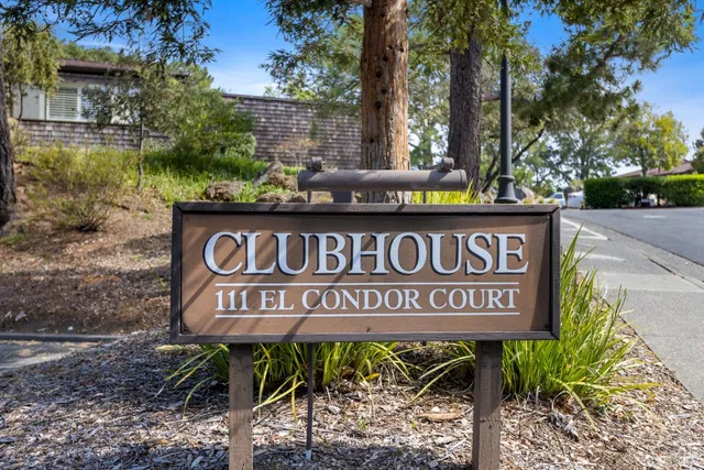 a view of a backyard with plants and large trees