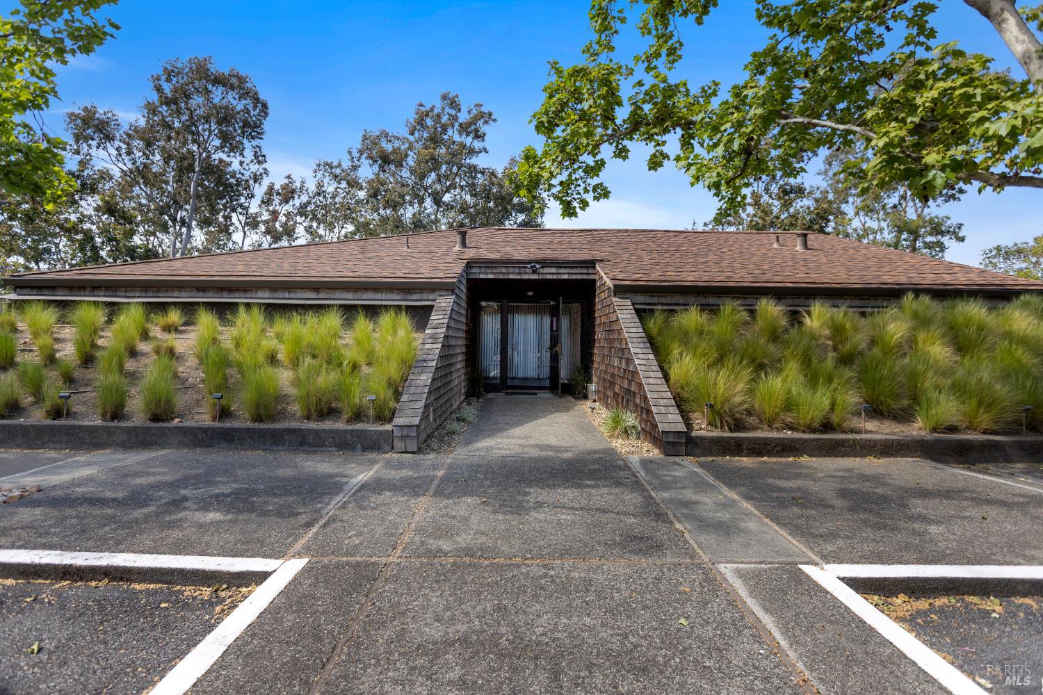 428 El Faisan Drive San Rafael, CA 94903 - Photo 36 of 48 a view of a backyard with plants and large trees