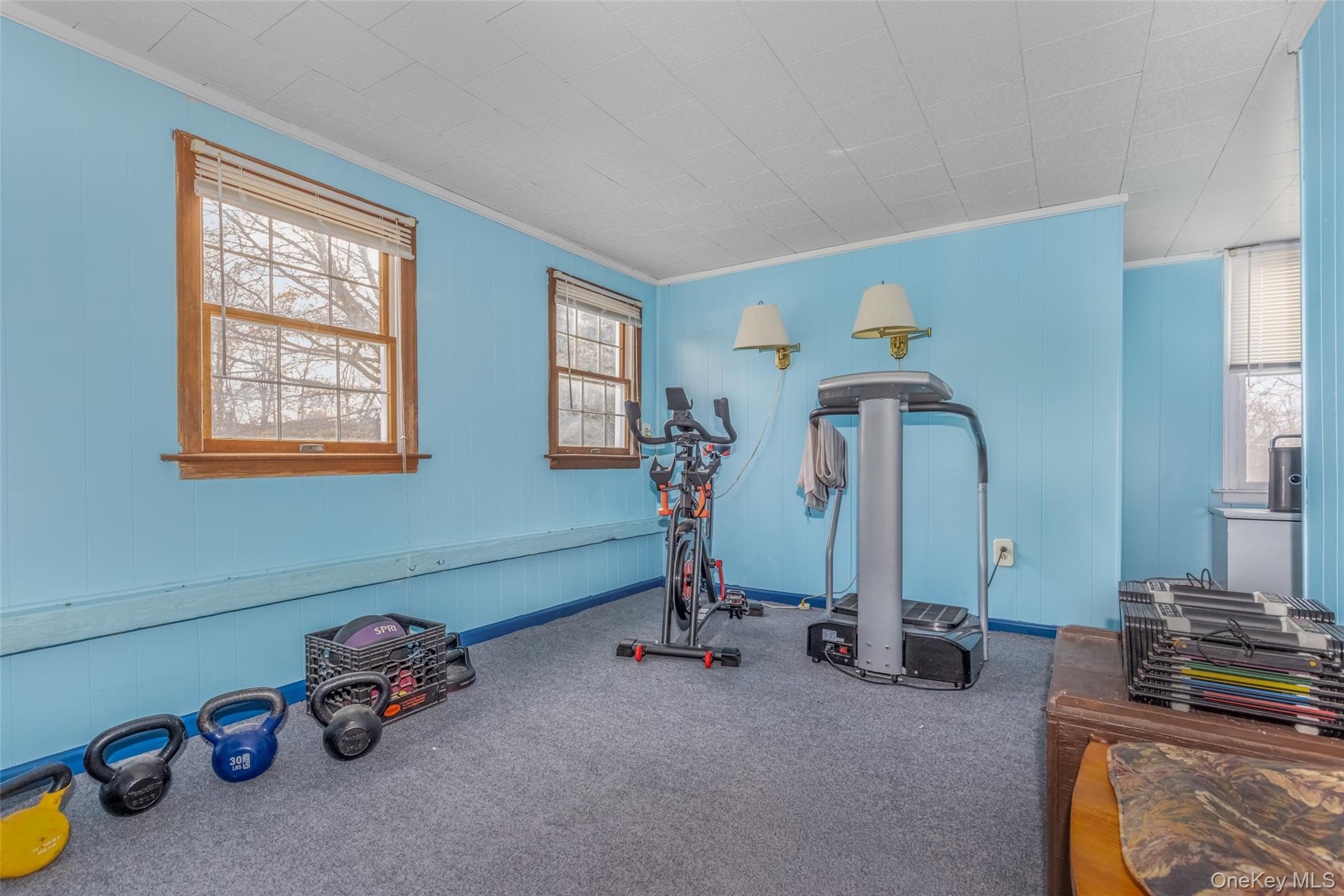 1896 Rte 44 55 Modena, NY 12548 - Photo 47 of 48 Exercise area with carpet, crown molding, and wooden walls