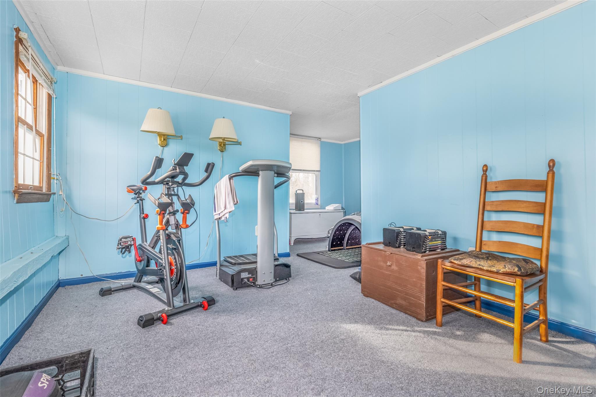 1896 Rte 44 55 Modena, NY 12548 - Photo 48 of 48 Workout area featuring ornamental molding, carpet flooring, and wood walls