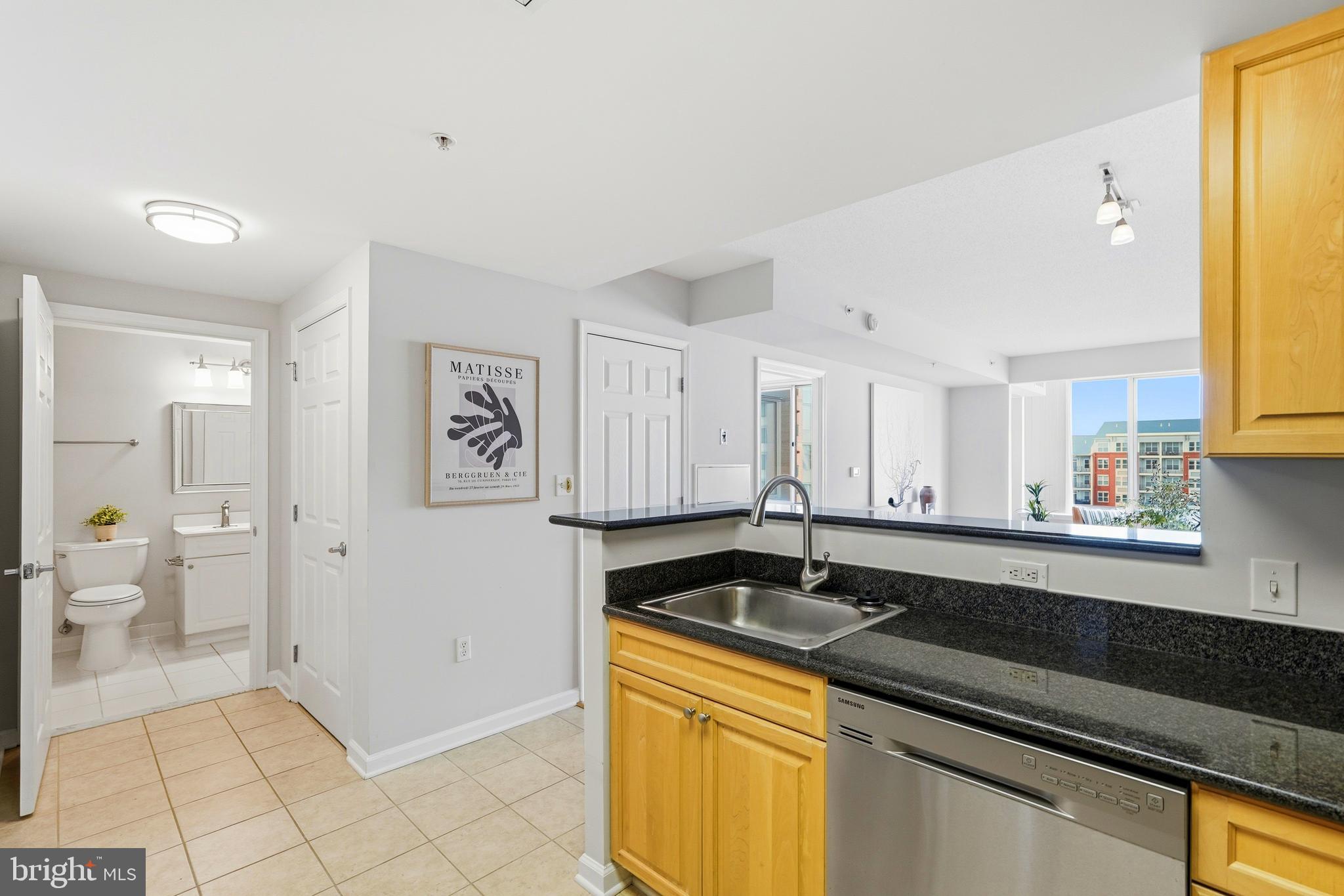 2726 Gallows Road, Unit 806 Vienna, VA 22180 - Photo 3 of 18