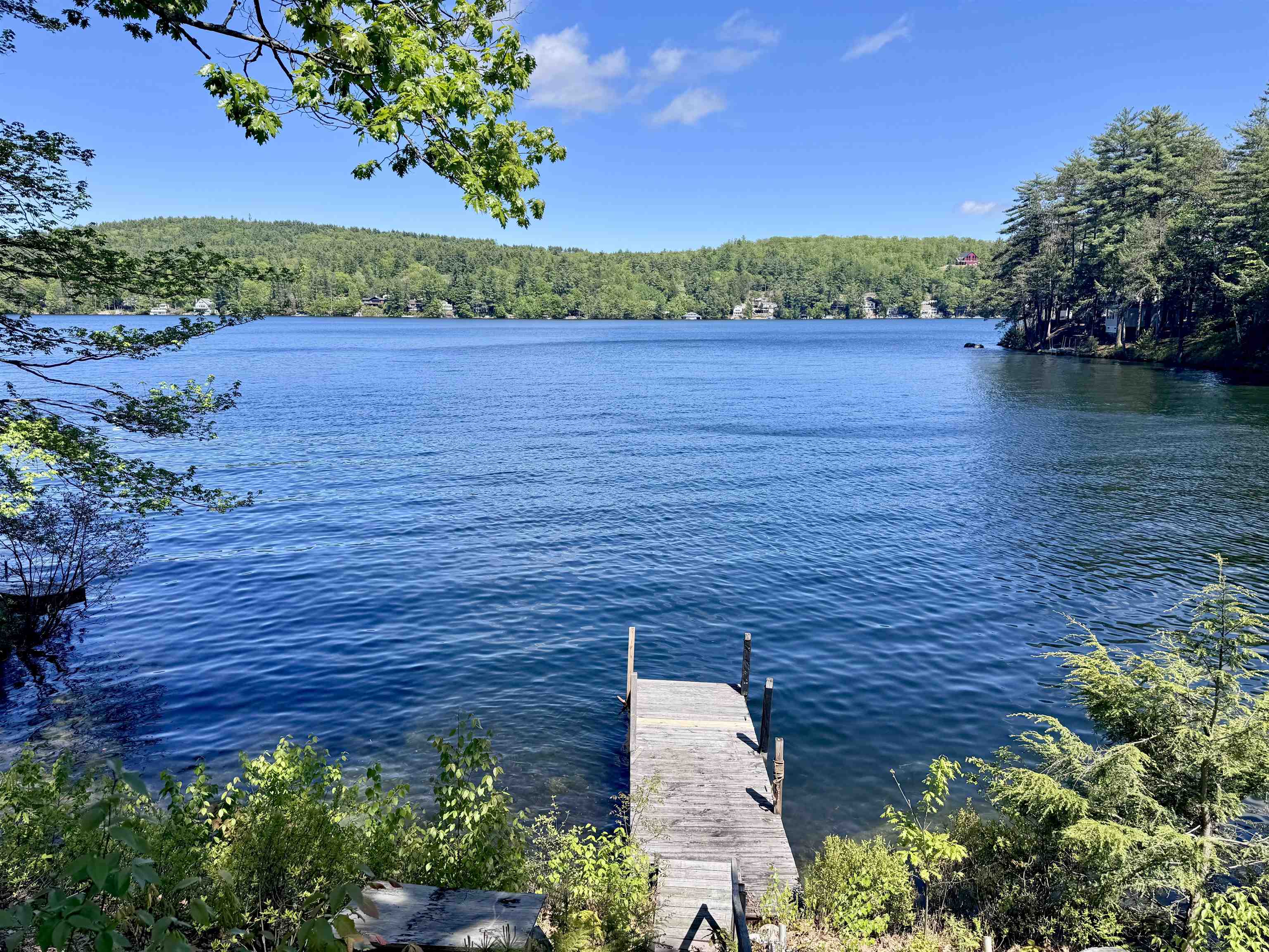 20 Boat Cove Road Alton, NH 03810 - Photo 3 of 60