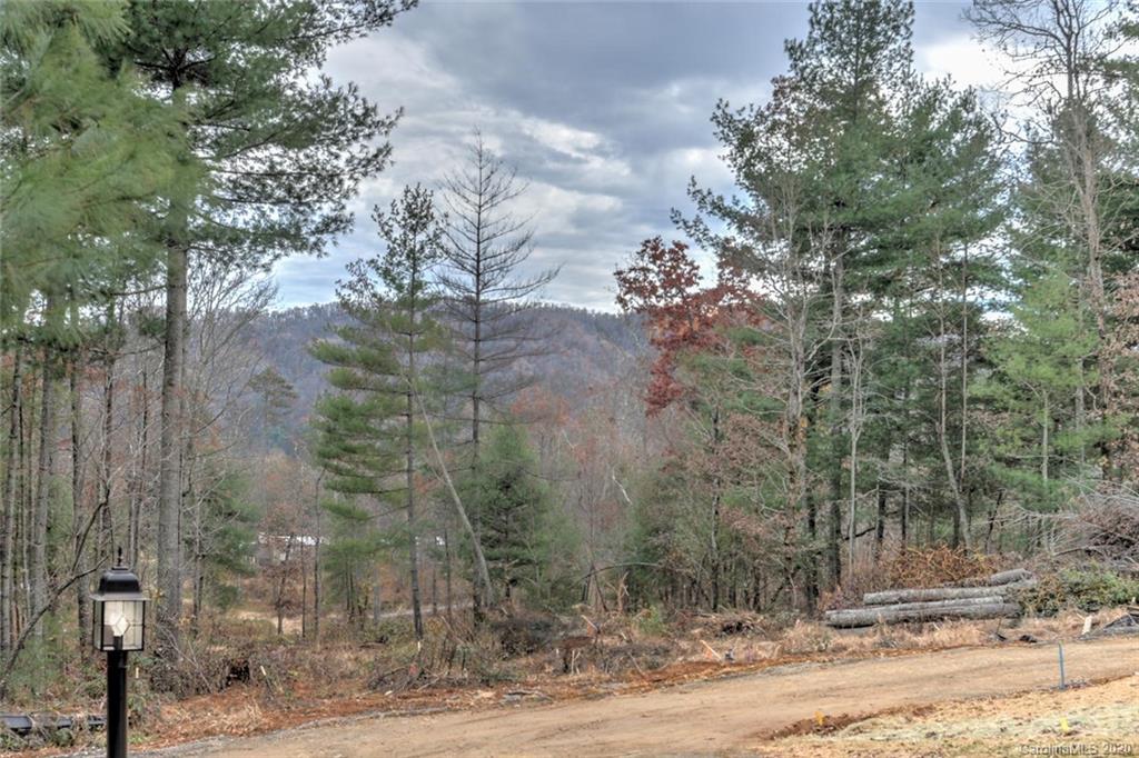 793 Concord Road Fletcher, NC 28732 - Photo 38 of 48 Gallery Image 38