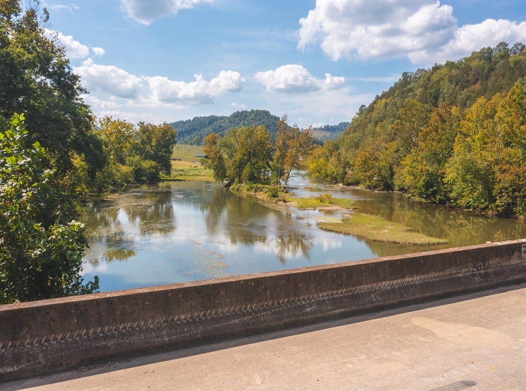 215 Ed Hollow Road Eidson, TN 37731 - Photo 59 of 60 Gallery Image 59