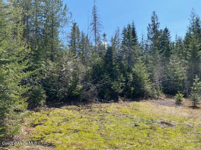 Nna Upper Gold Creek Road Sandpoint, ID 83864 - Photo 15 of 25 18