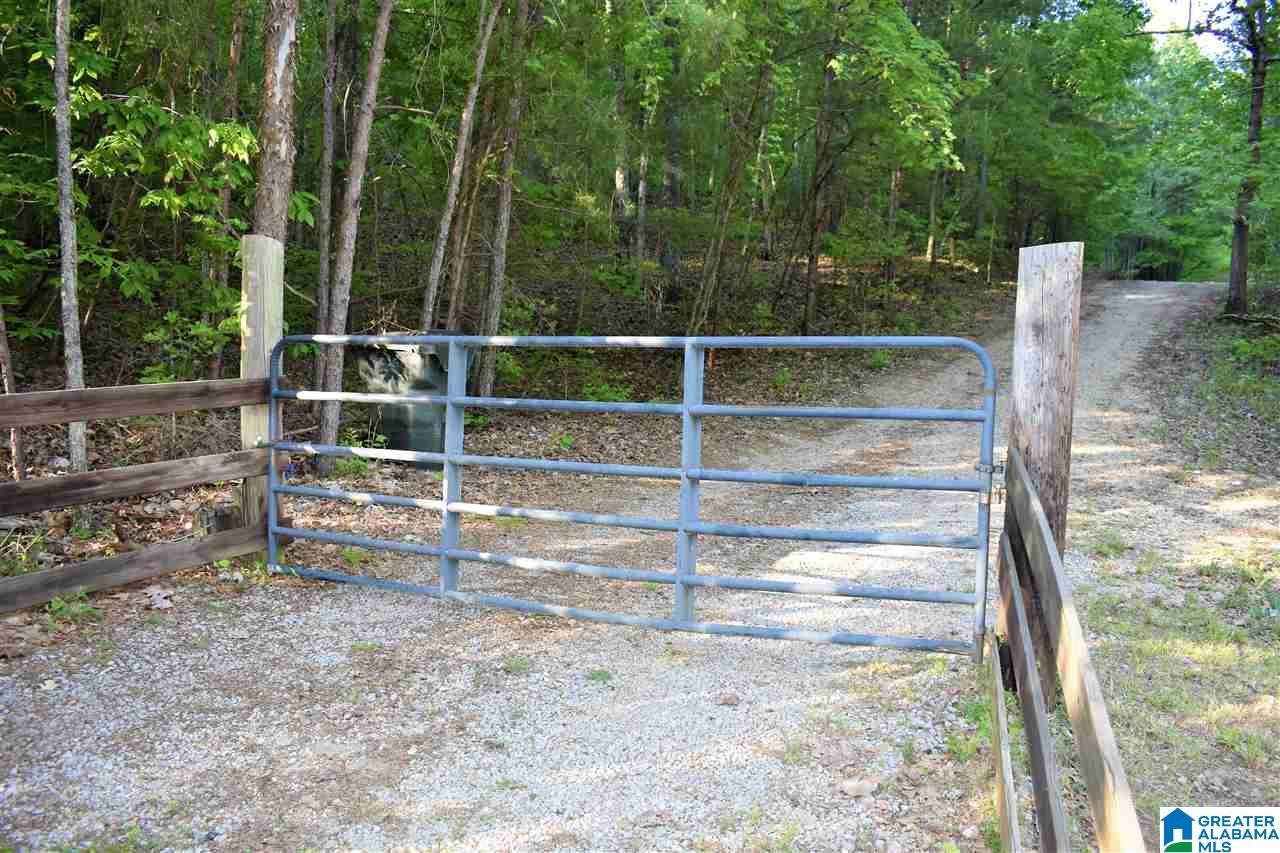 2877 Murphrees Valley Road Springville, AL 35146 - Photo 2 of 33 Gallery Image 2