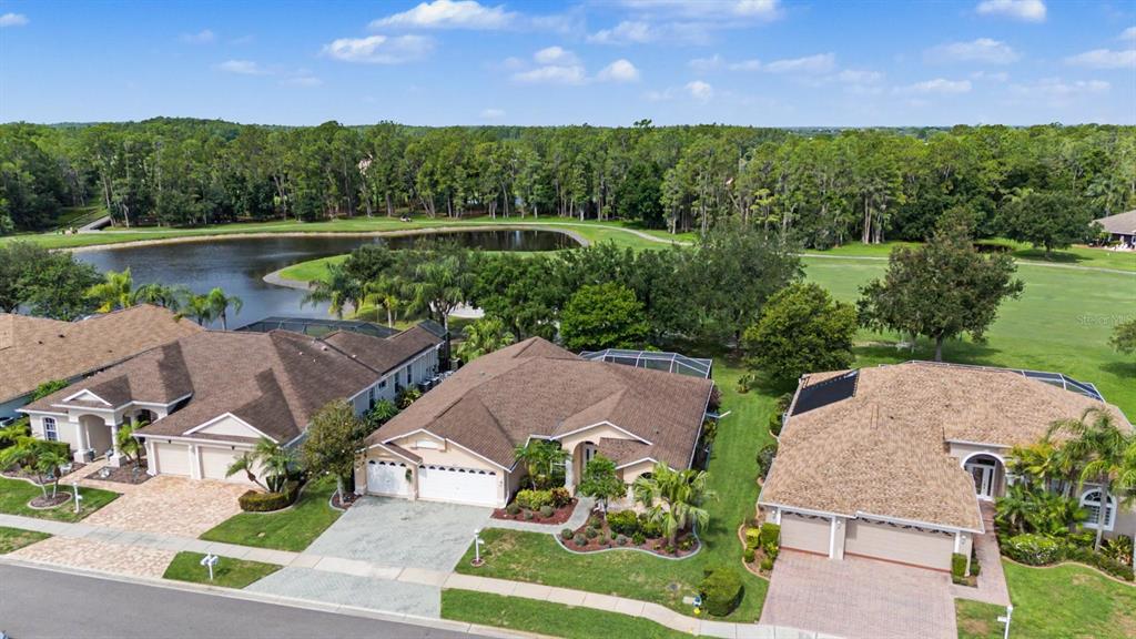 1331 Trimaran Place Trinity, FL 34655 - Photo 28 of 54