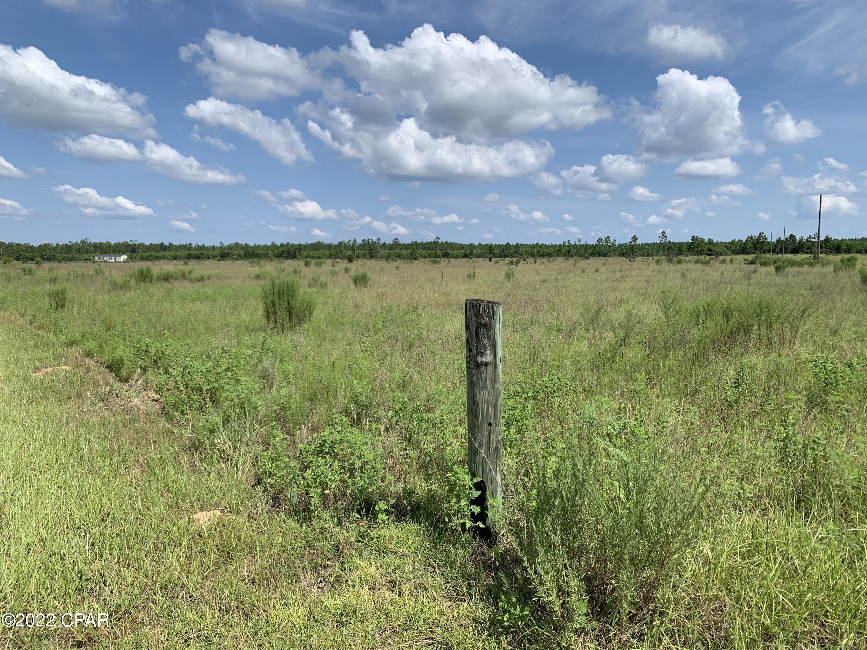 0 Northwest Porter Grade Road Altha, FL 32421 - Photo 2 of 12 Gallery Image 2