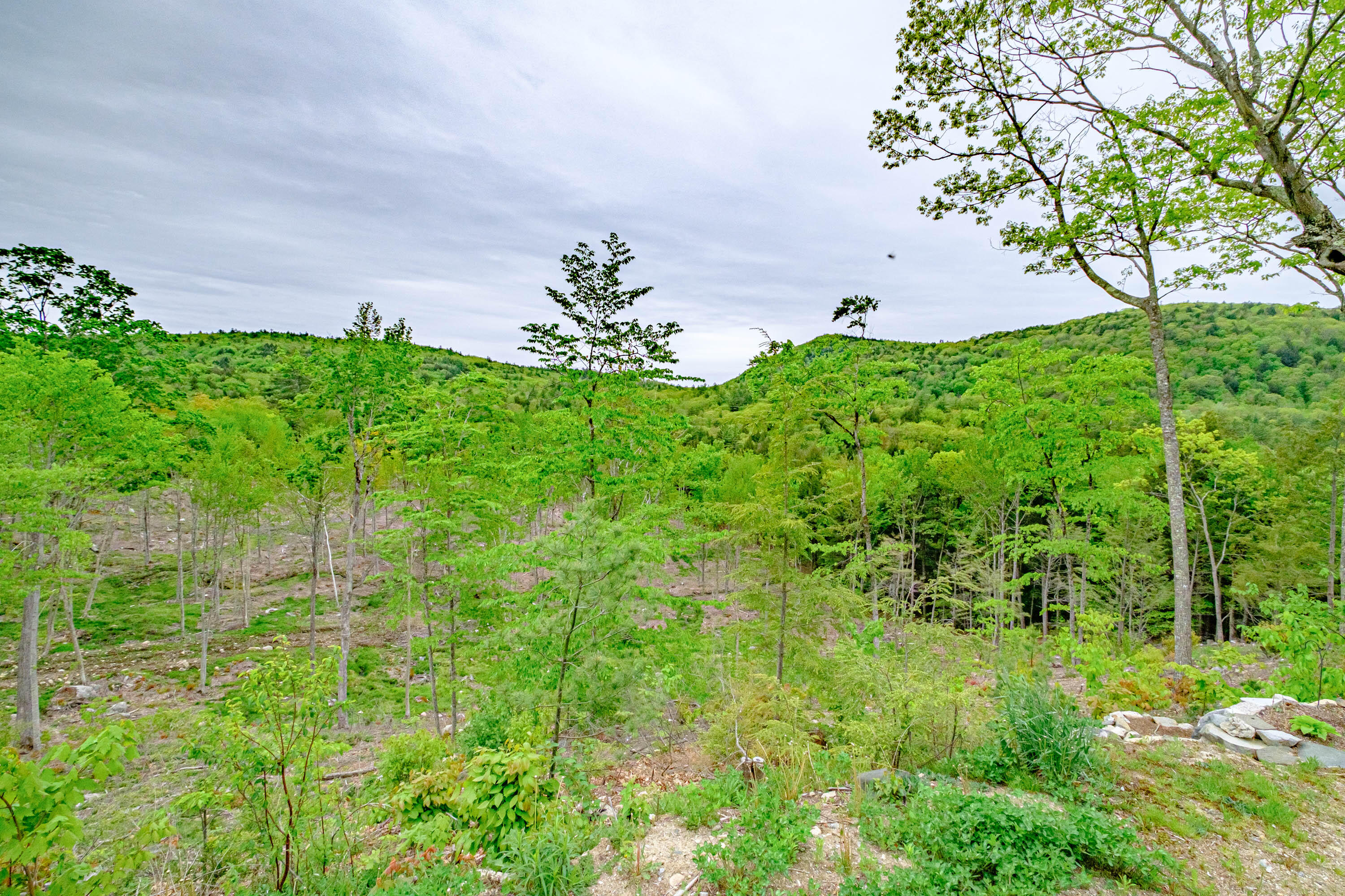 70 Corson Road Parsonsfield, ME 04047 - Photo 70 of 80 20220519gp-60077